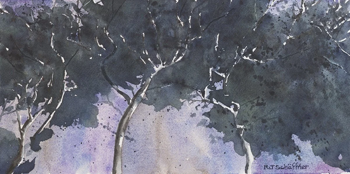 Umbrella Tree Canopy