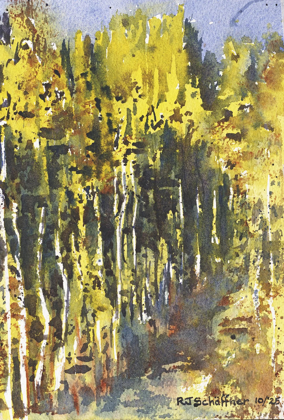 Aspen Grove