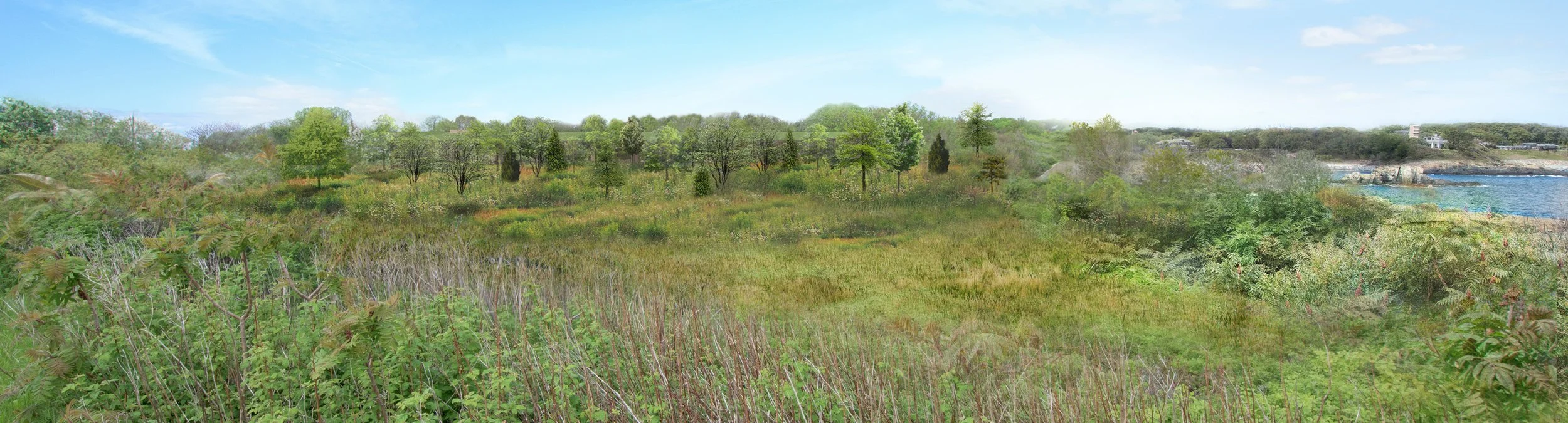 Lodge Park View-Summer.jpg