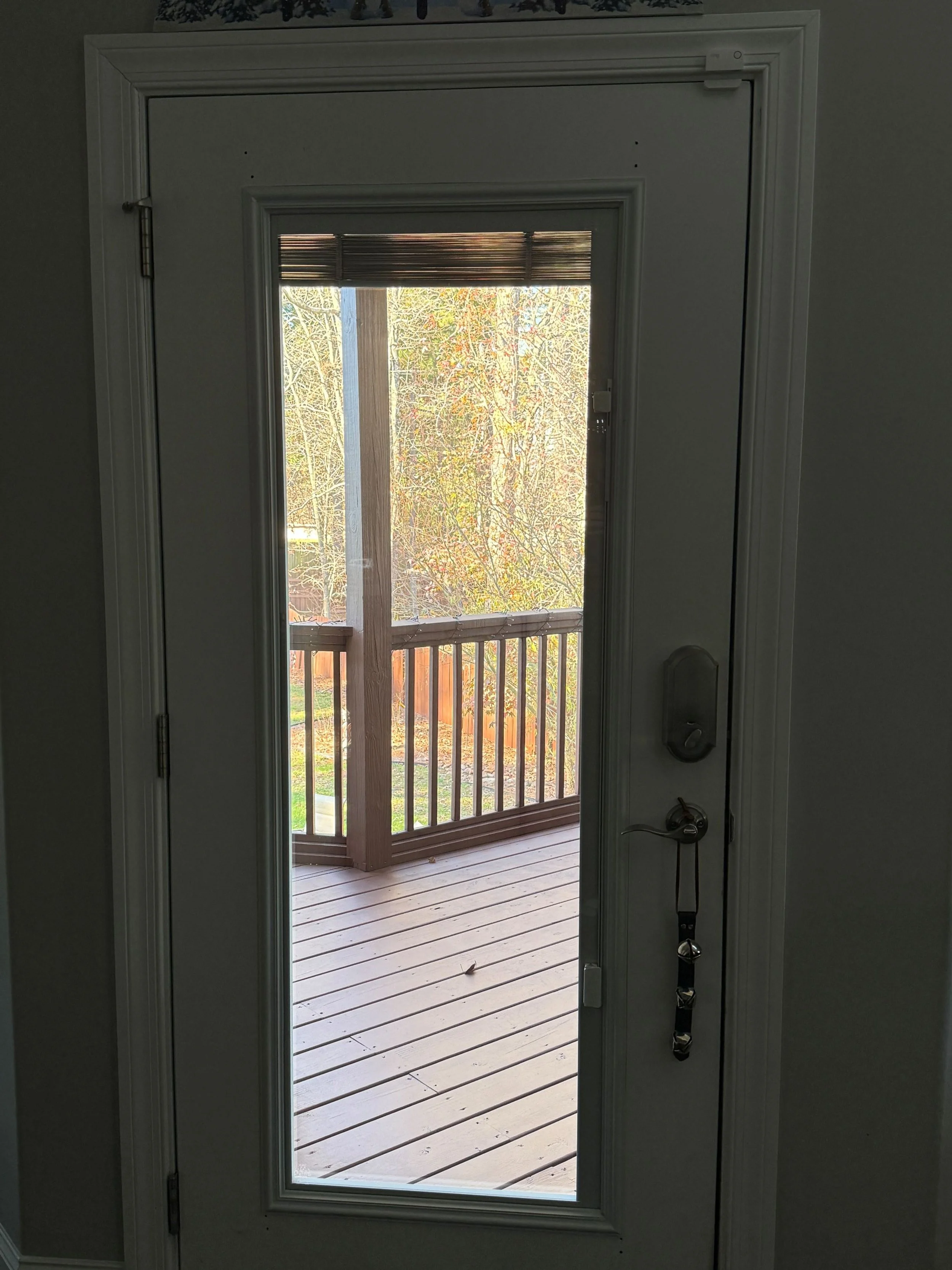 Interior view of a door with a glass panel leading to a wooden porch, with a view of trees and a fence outside.