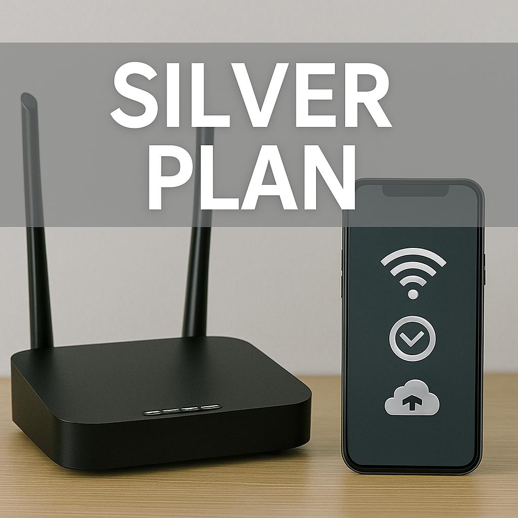 Maintenance - Silver Plan