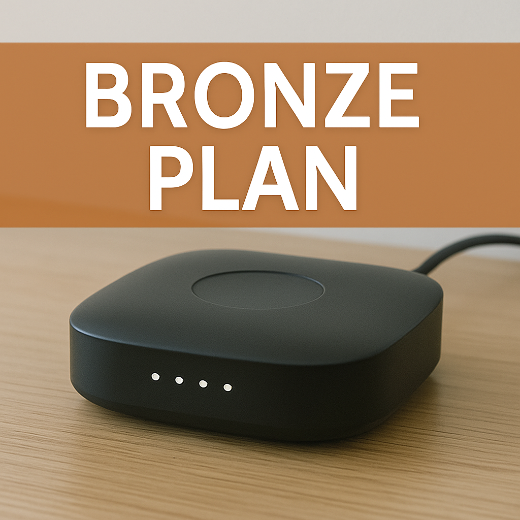Maintenance - Bronze Plan