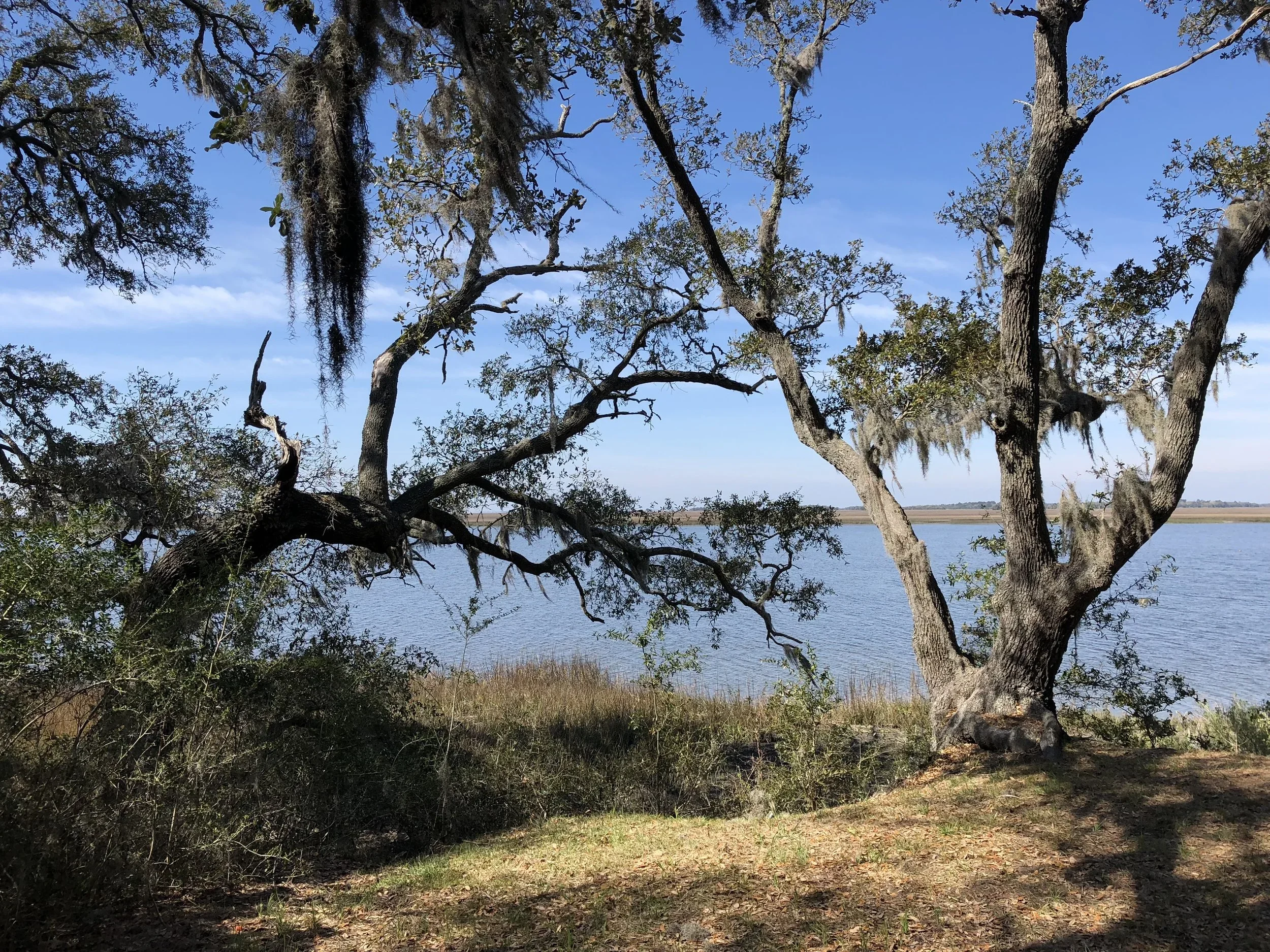 Understanding South Carolina's Precondemnation Process: The Offer and Appraisal Requirements