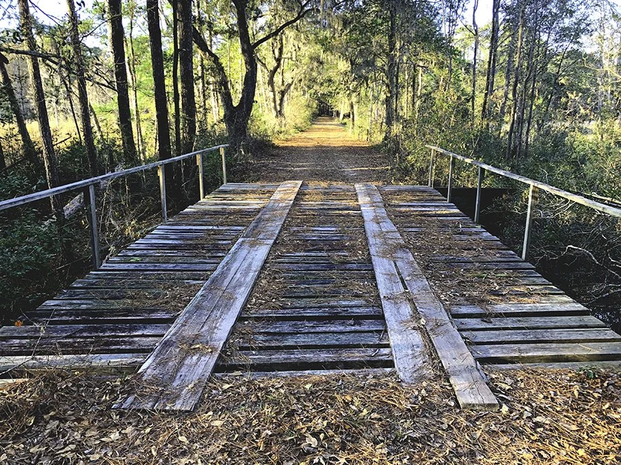 Wooden bridge in the low country