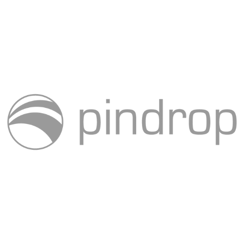 Pindrop logo with stylized globe icon and company name.