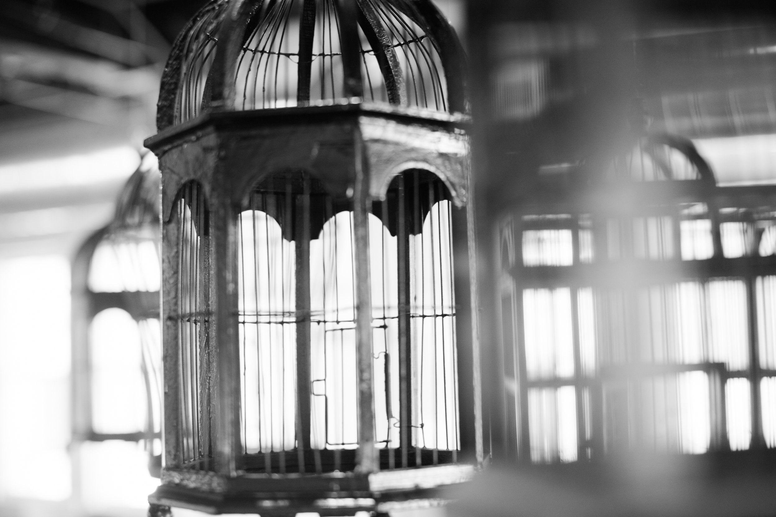 Black and white image of vintage birdcages with open bars, some cages are blurred in the background.