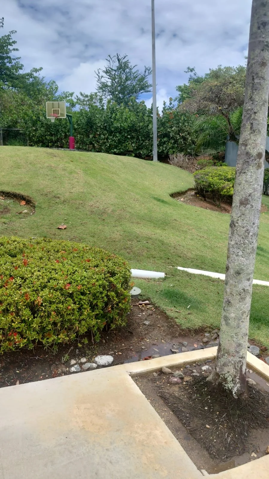 Landscaping maintenance.