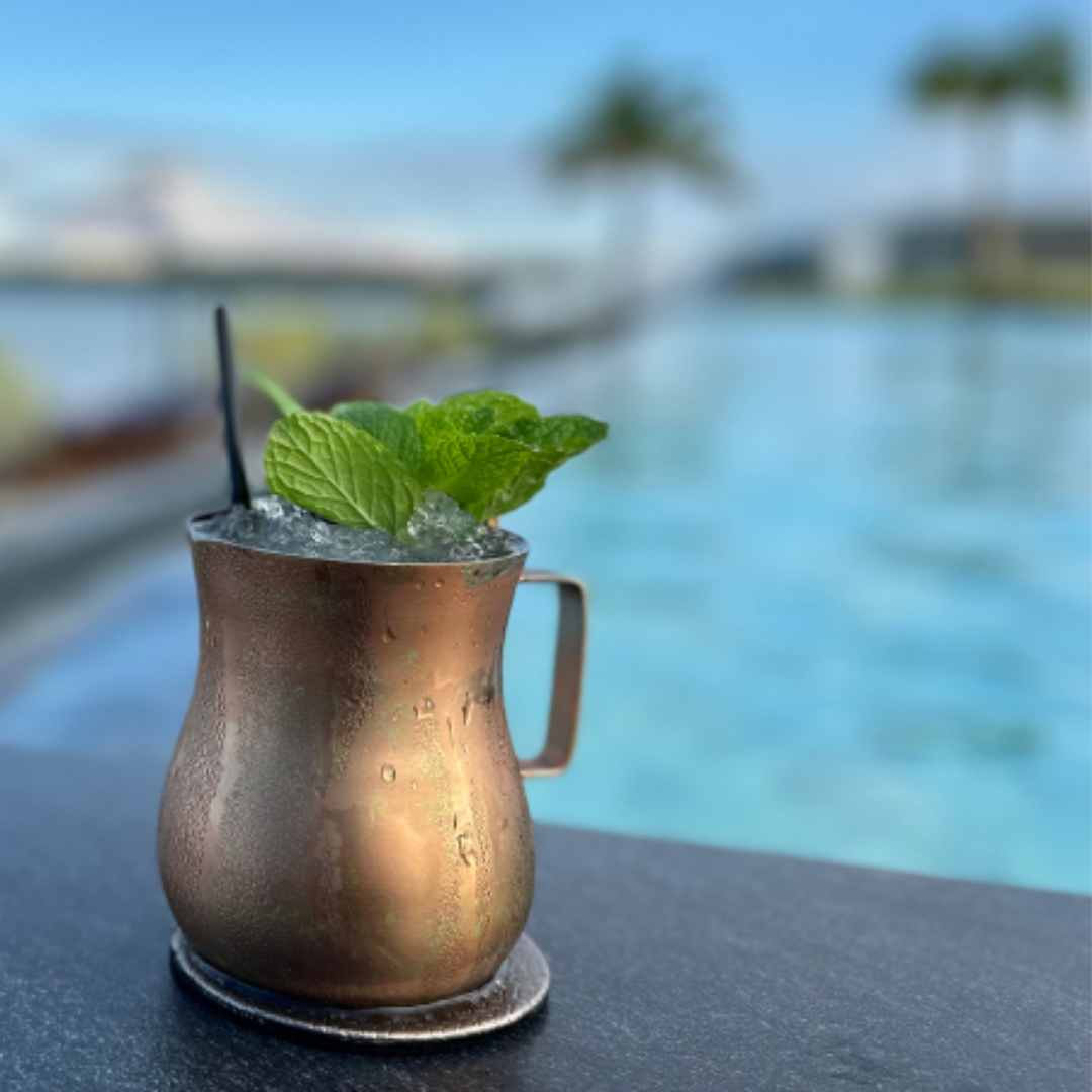 Discovering Borneo: A Family Adventure at Cove 55, Kuching