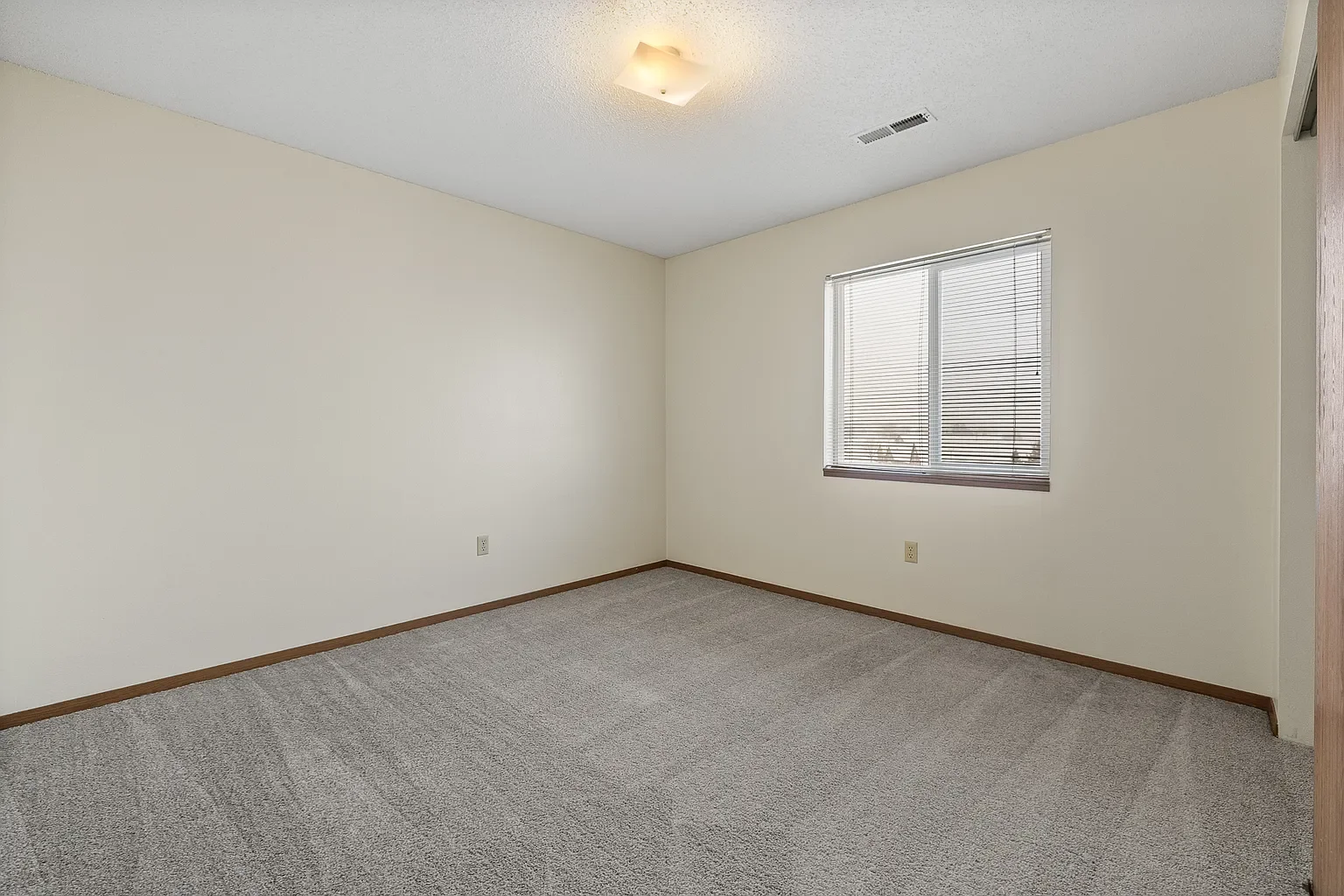 Empty room with carpeted floor, white walls, a window with blinds, and a ceiling light fixture.