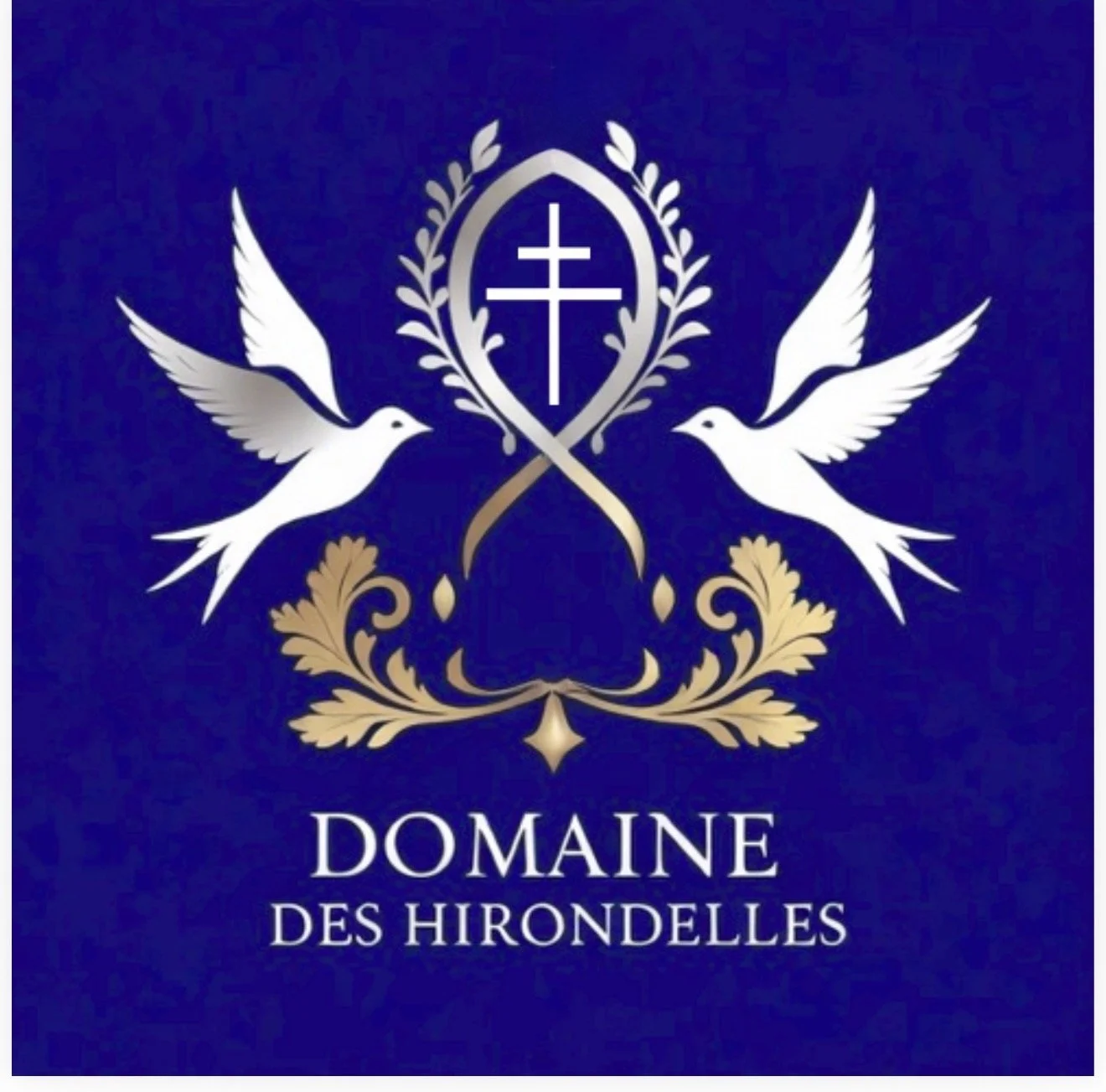 Domaine des Hirondelles  