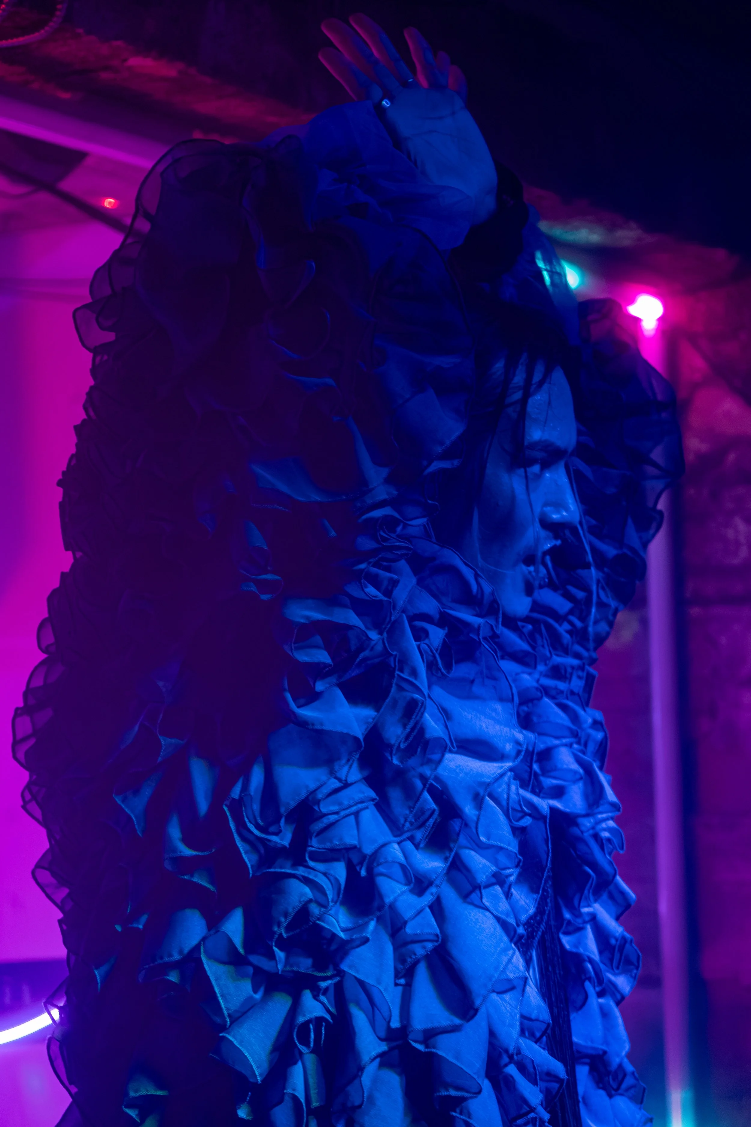 DSC06778.jpg