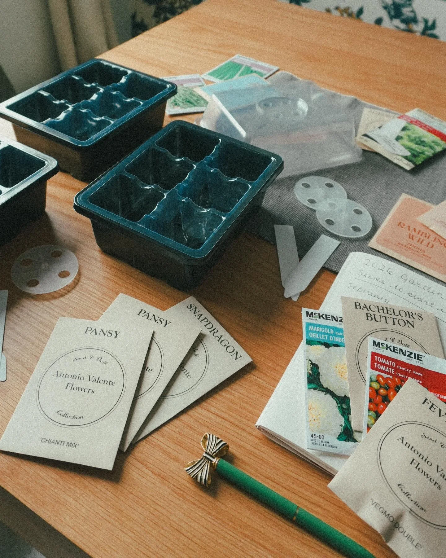 This year&rsquo;s garden begins quietly &mdash; with seed trays on the kitchen table and packets spread out in the afternoon light.

I&rsquo;m just starting to sow seeds indoors, planting the first chapters of a season guided by a designer&rsquo;s ey