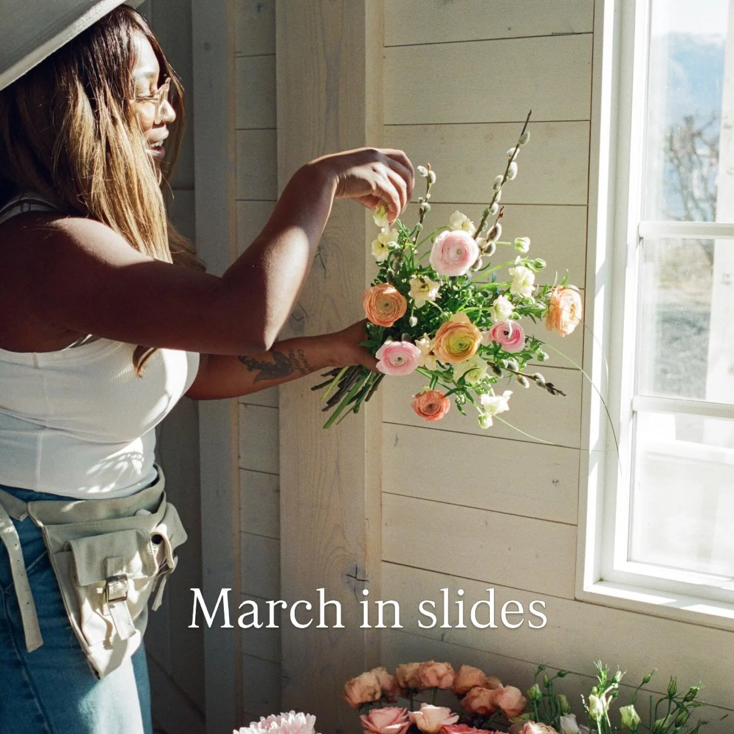 March in slides 🌱

This March felt like the ground thawing beneath everything&hellip;

A season of planting, building, reimagining, and stepping into something new.

From Kelowna skies to sugar shack sweetness, from tiny seeds to big launches&hellip