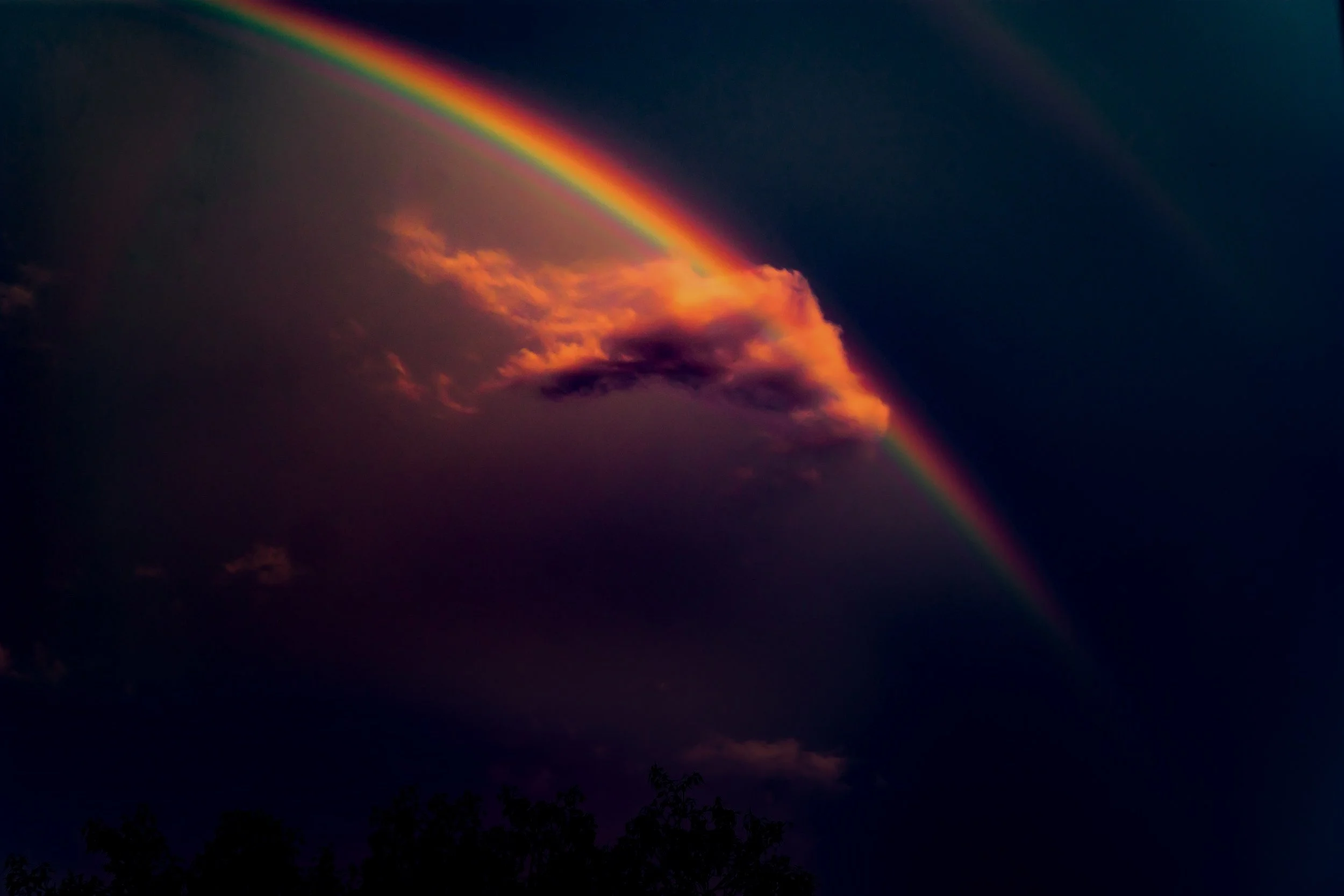 A rainbow with vibrant colors arches across a dark sky with some clouds and the silhouette of trees at the bottom.