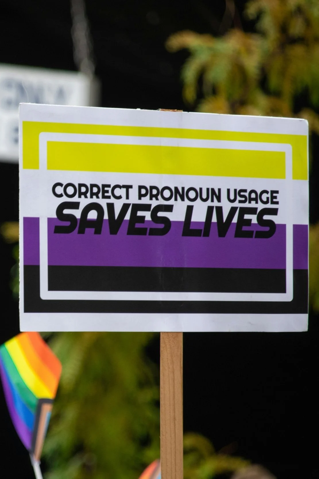 A sign with a message about correct pronoun usage that says "Saves Lives" in bold black and purple text, with a rainbow flag partially visible in the bottom left corner.
