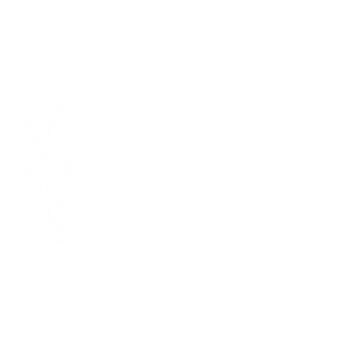 Hixson Community Yoga Center