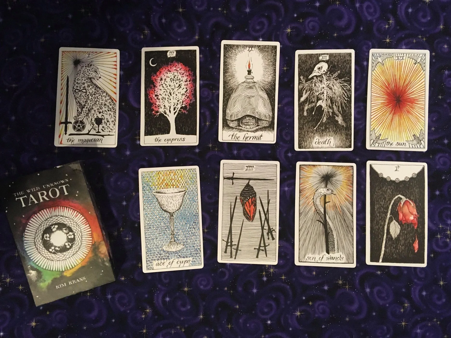 The Wild Unknown Tarot