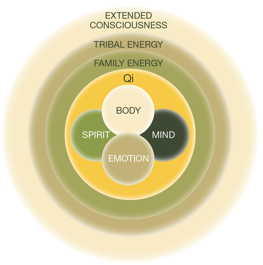 Diagram illustrating layers of consciousness and energy with concentric circles titled: Body, Qi, Spirit, Emotion, and Mind, surrounded by outer layers labeled: Family Energy, Tribal Energy, Extended Consciousness.