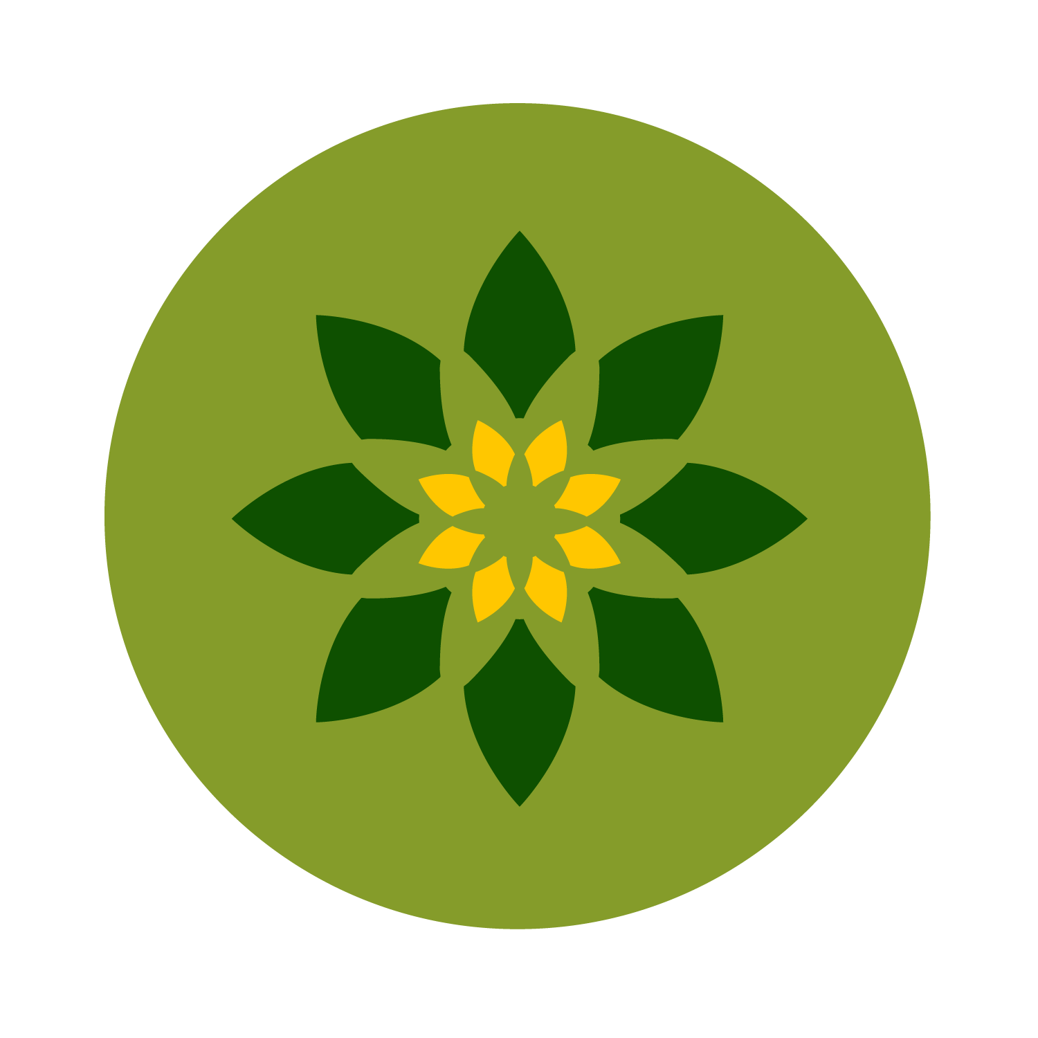 Your Healing Case Study