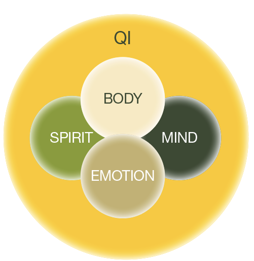 Diagram showing the relationship between body, emotion, spirit, mind, QI, and their overall connection.