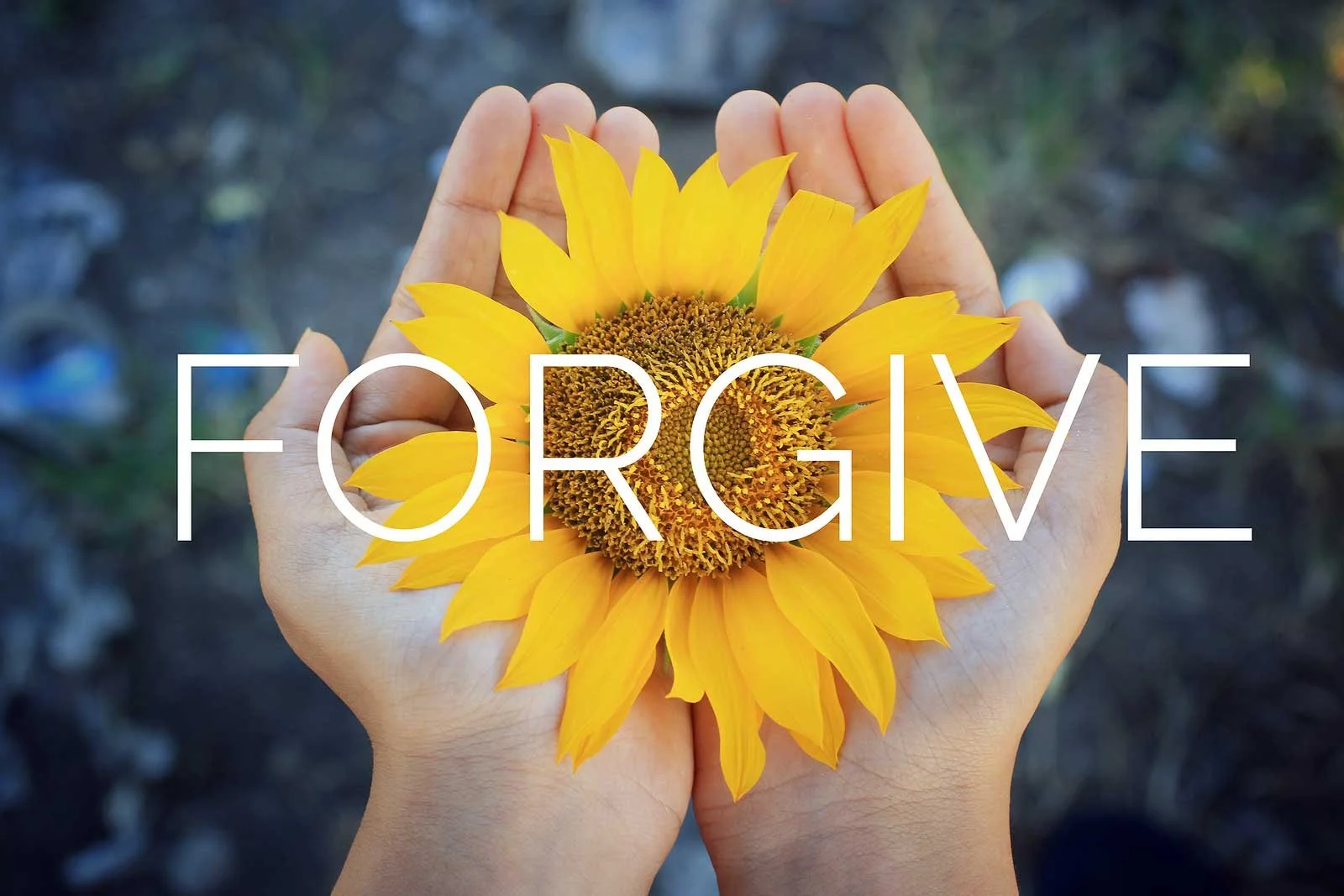 Why Forgiveness is Important for Your Overall Health