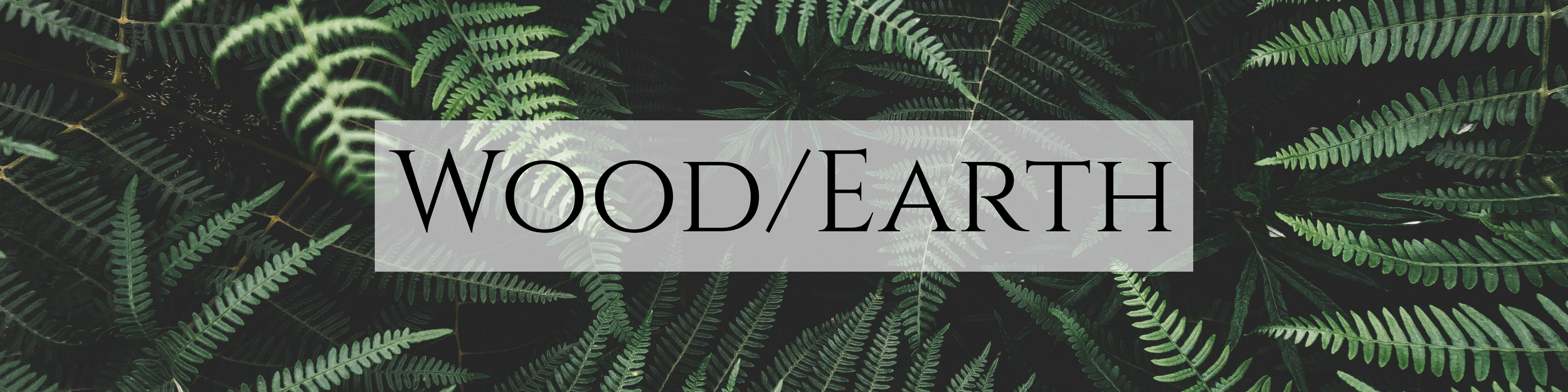 Close-up of green fern leaves in a dense forest setting with the words 'WOOD/EARTH'.