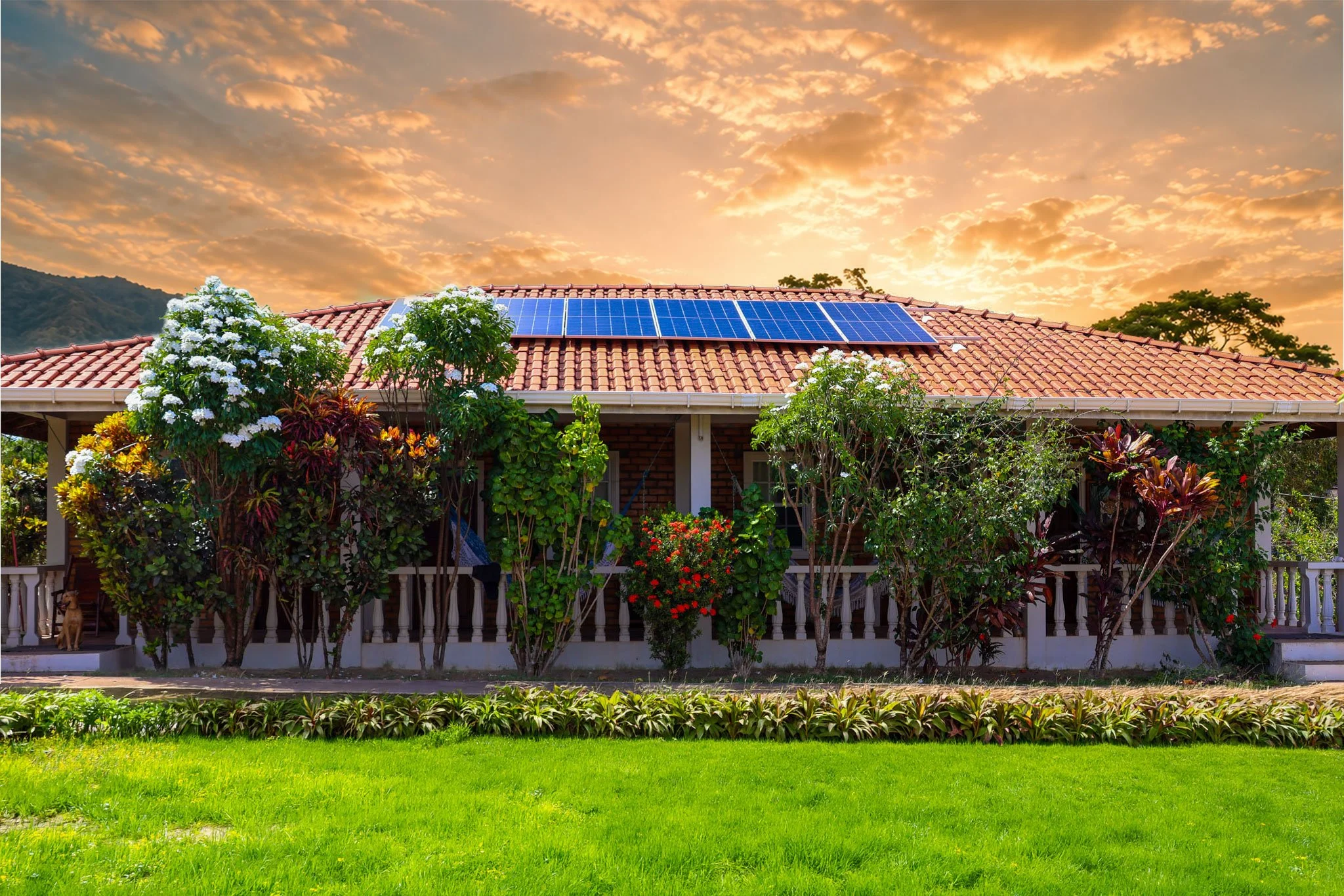 Squarespace-web-images-113.jpg