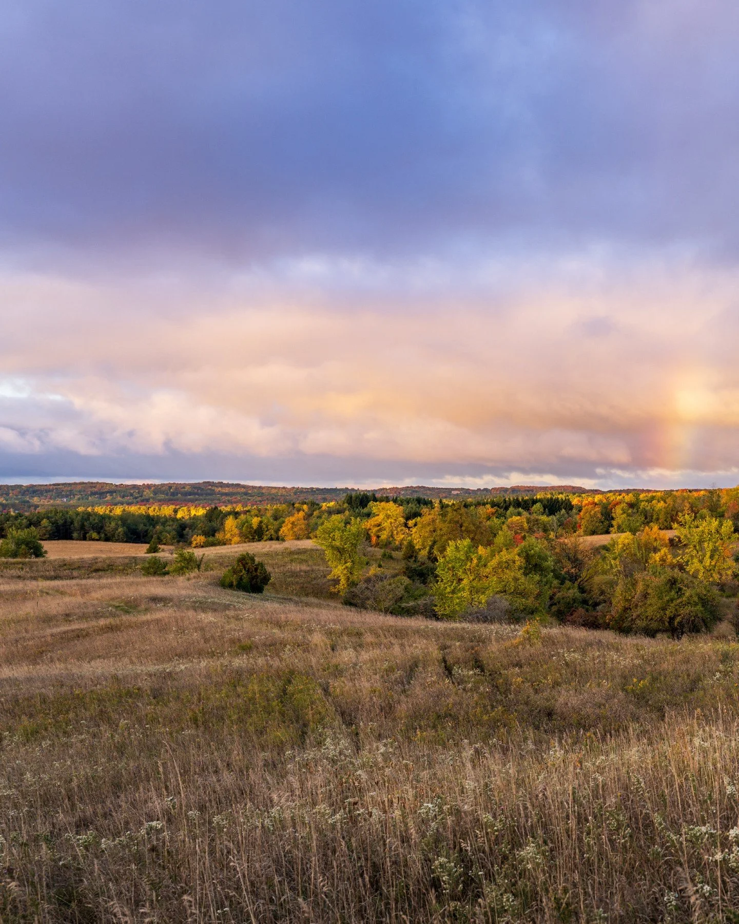 Where open space meets possibility: Melville Park