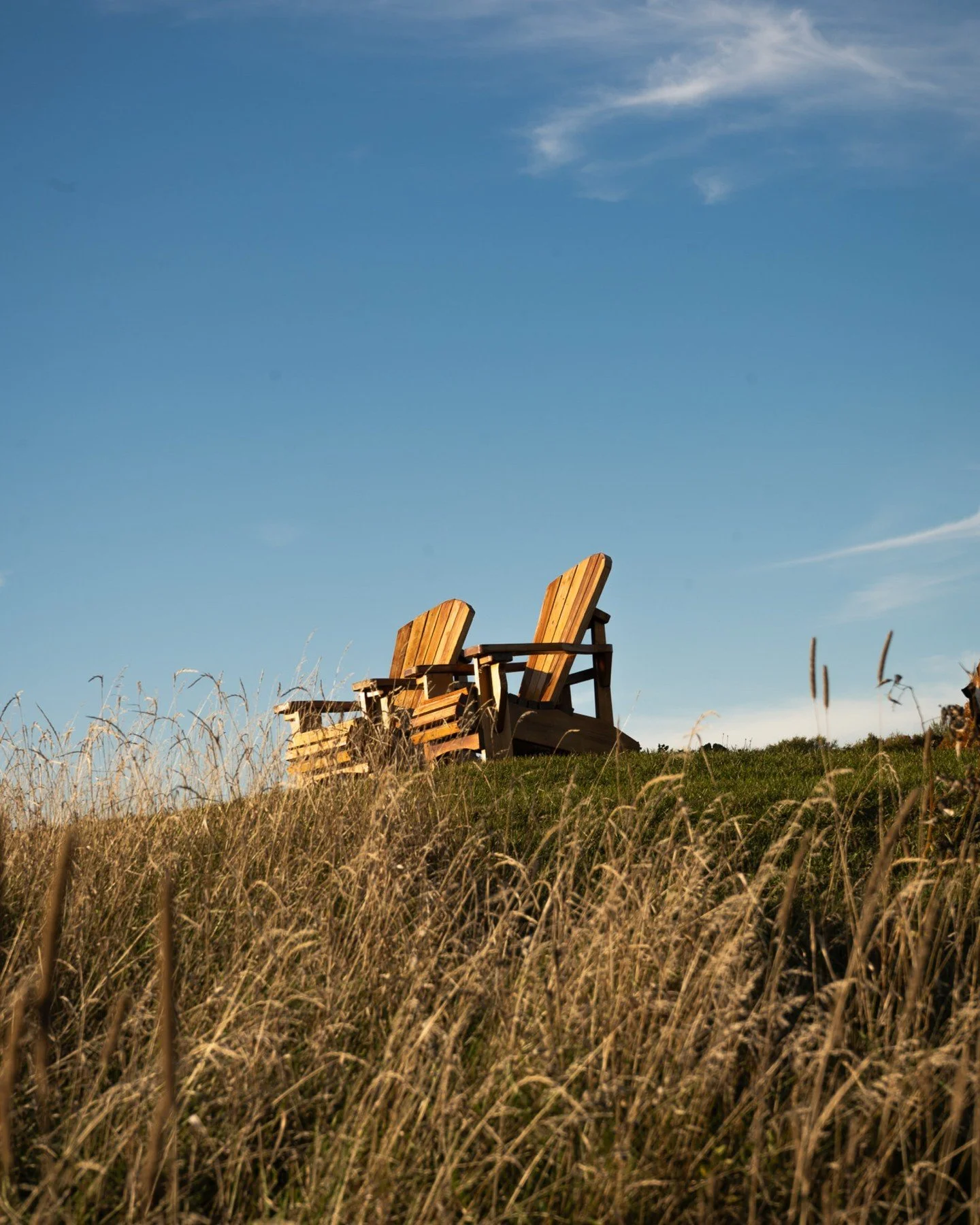 The California Exchange Trails: a new way to experience the season.