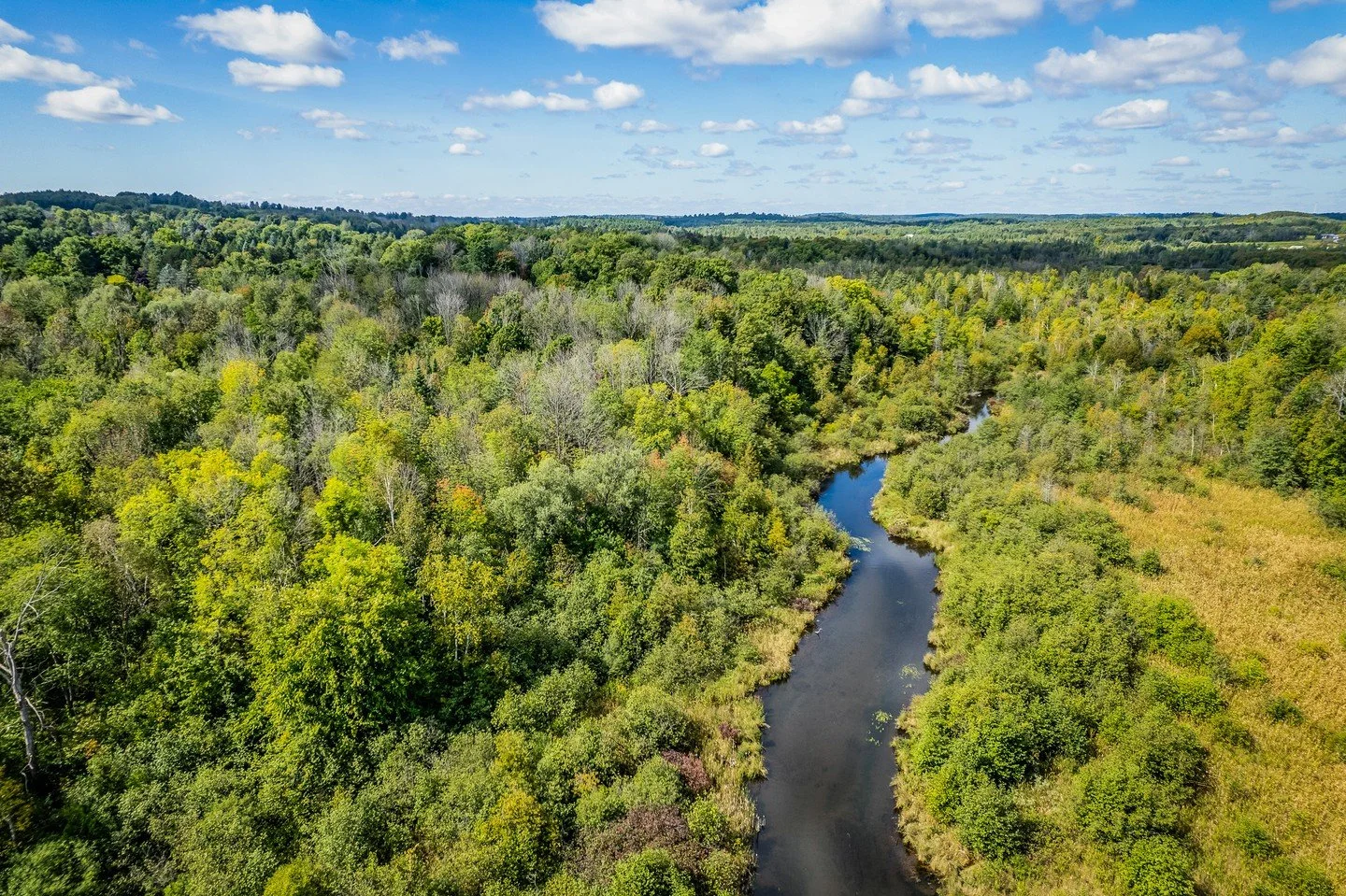 Looking ahead to longer days and greener moments.
#InvestedInGoodNature