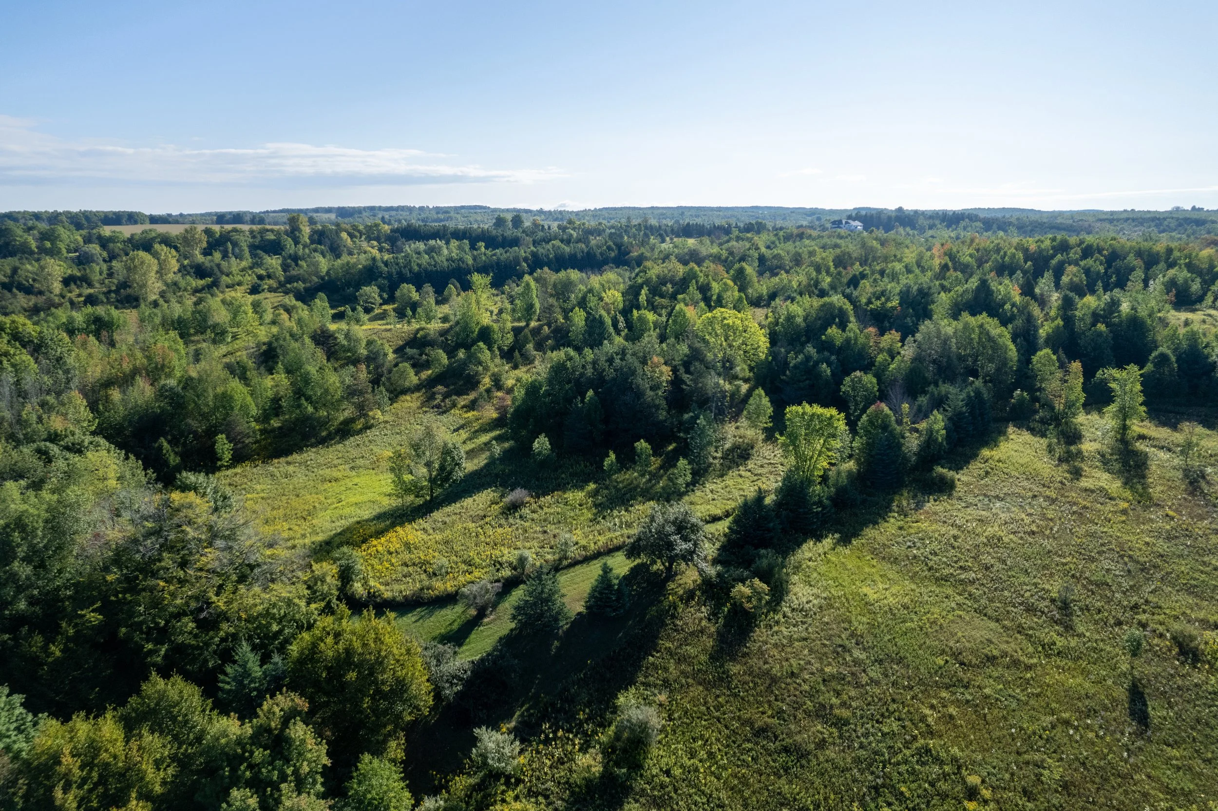 Aerial view of a lush, green forested landscape with rolling hills under a clear blue sky.