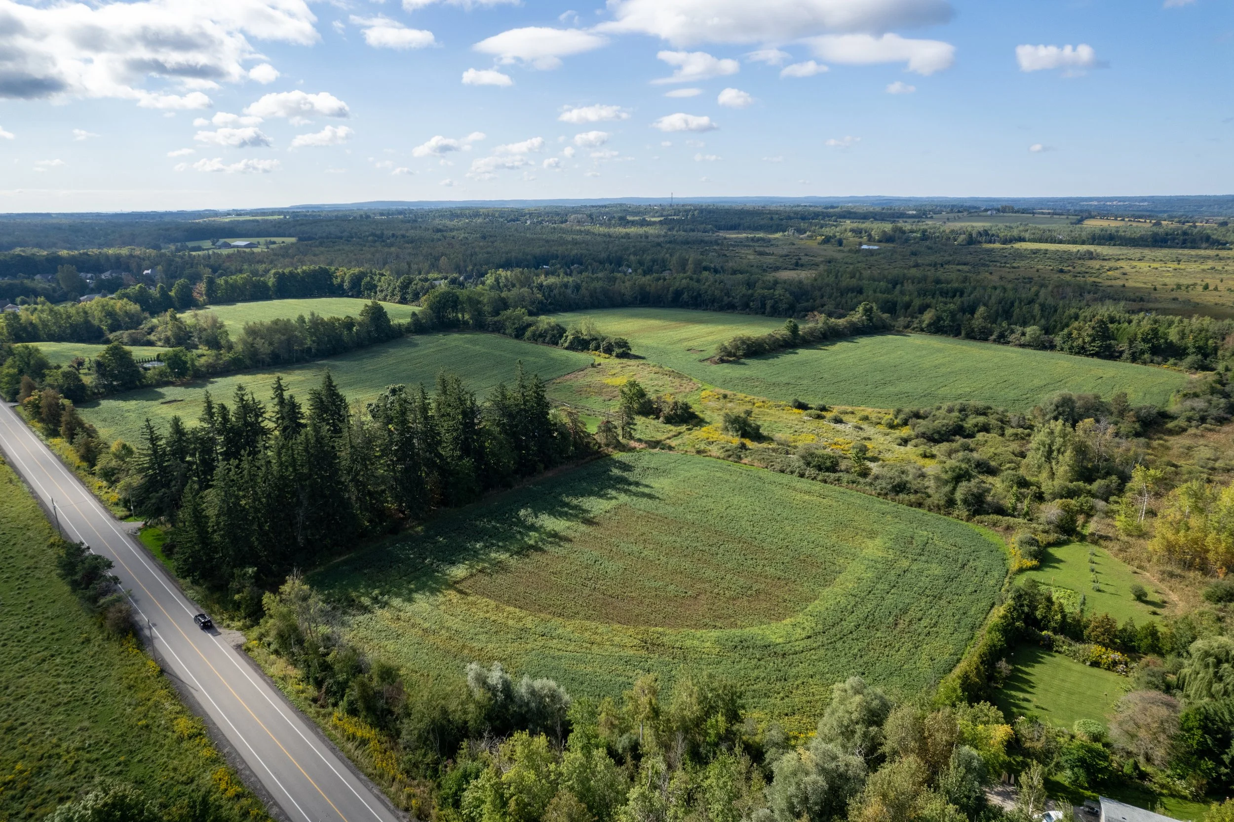 Aerial view of a rural landscape with farmland, trees, and a road running along the left edge. The farmland includes green fields, some with crops, and patches of trees and shrubs, under a blue sky with scattered clouds.