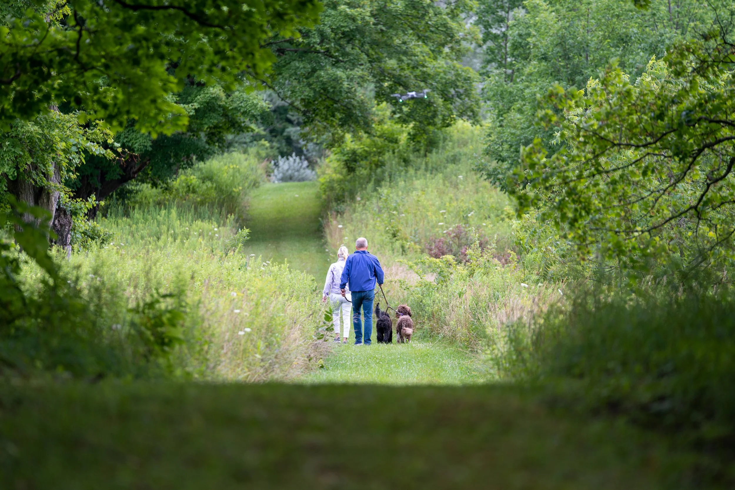 A couple walking with two dogs on a grassy trail through a lush green forest.