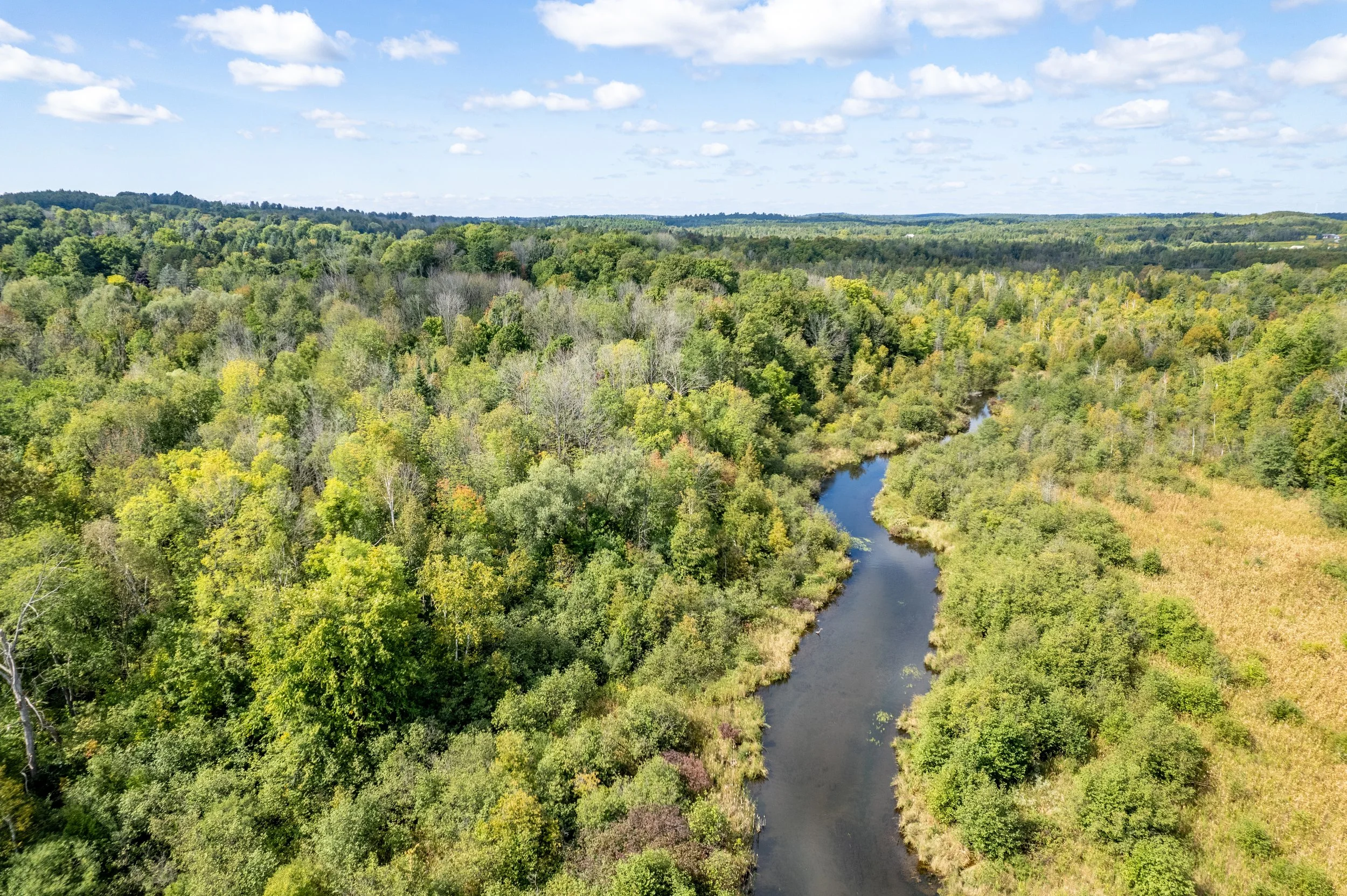 Aerial view of a winding river flowing through a lush green forest under a partly cloudy sky.