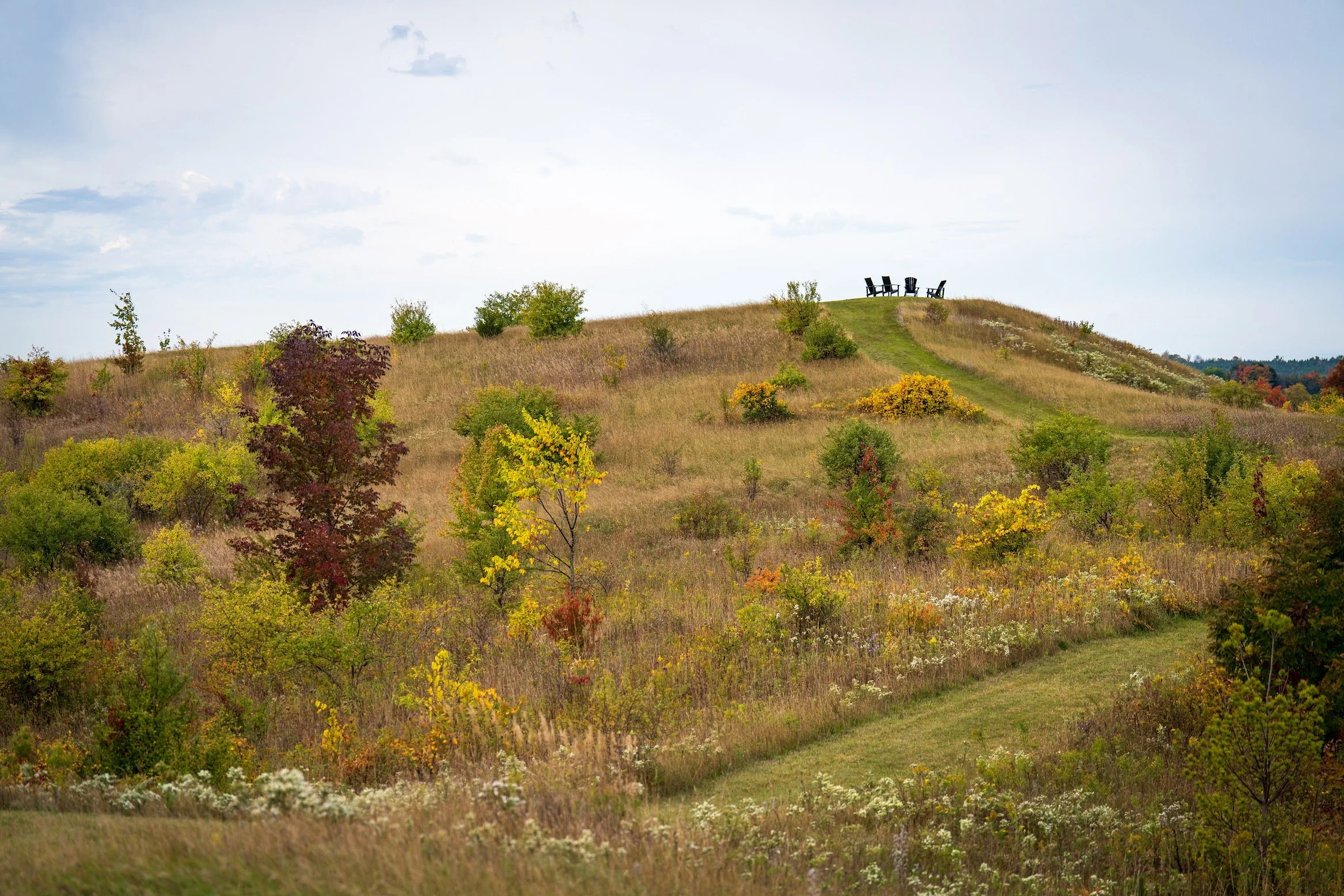 A hillside with scattered trees and patches of grass, topped with a grassy path leading to four empty chairs at the hill's peak, under a partly cloudy sky.