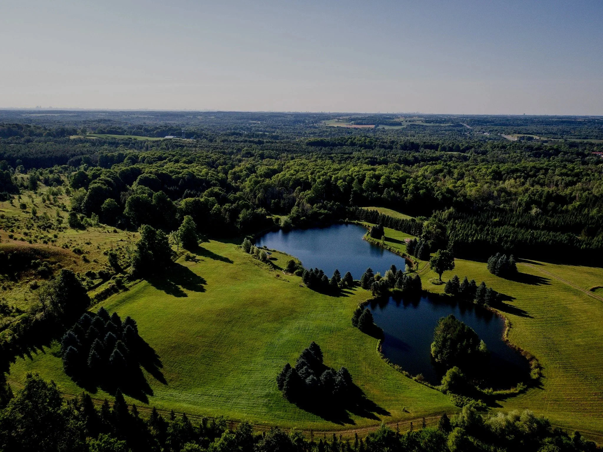 An aerial view of a winding river flowing through a lush green forest under a blue sky with scattered white clouds.