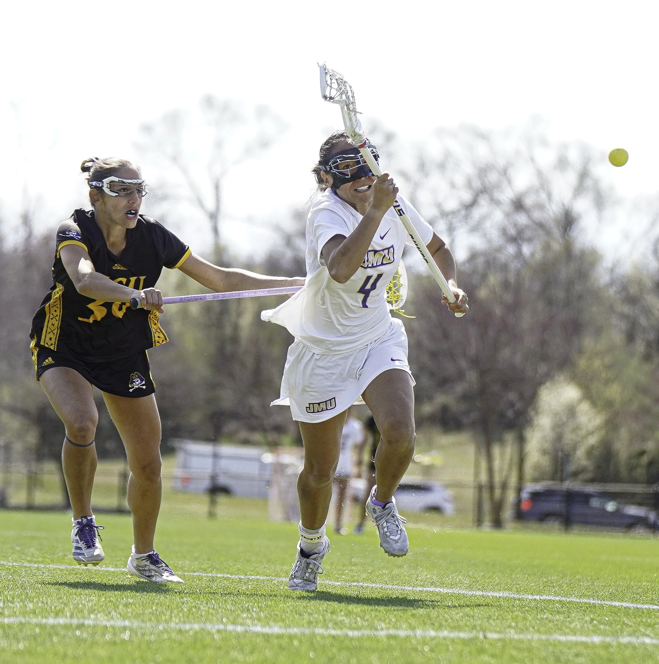 Zmd Flicks -3463.jpg