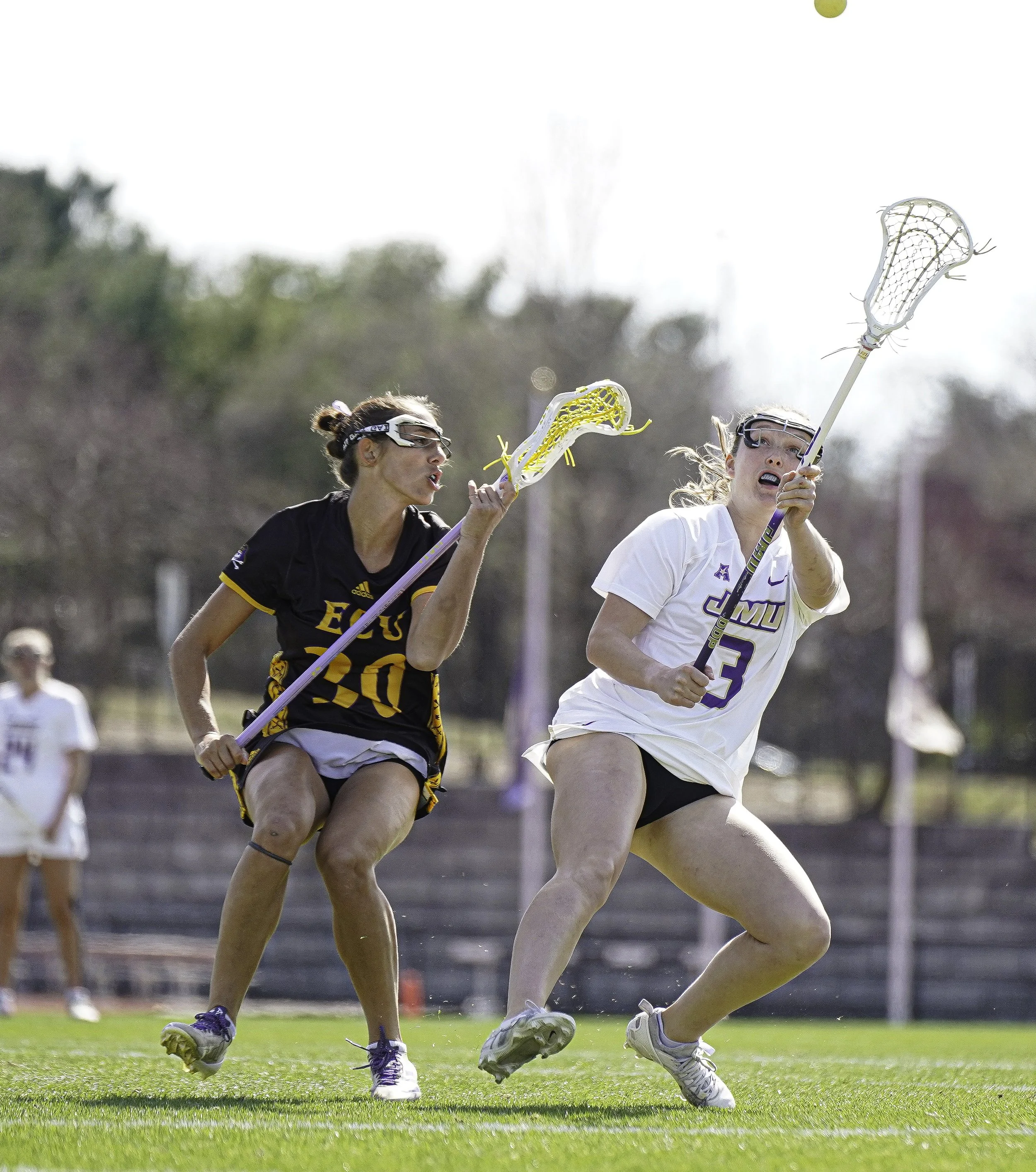 Zmd Flicks -3470.jpg