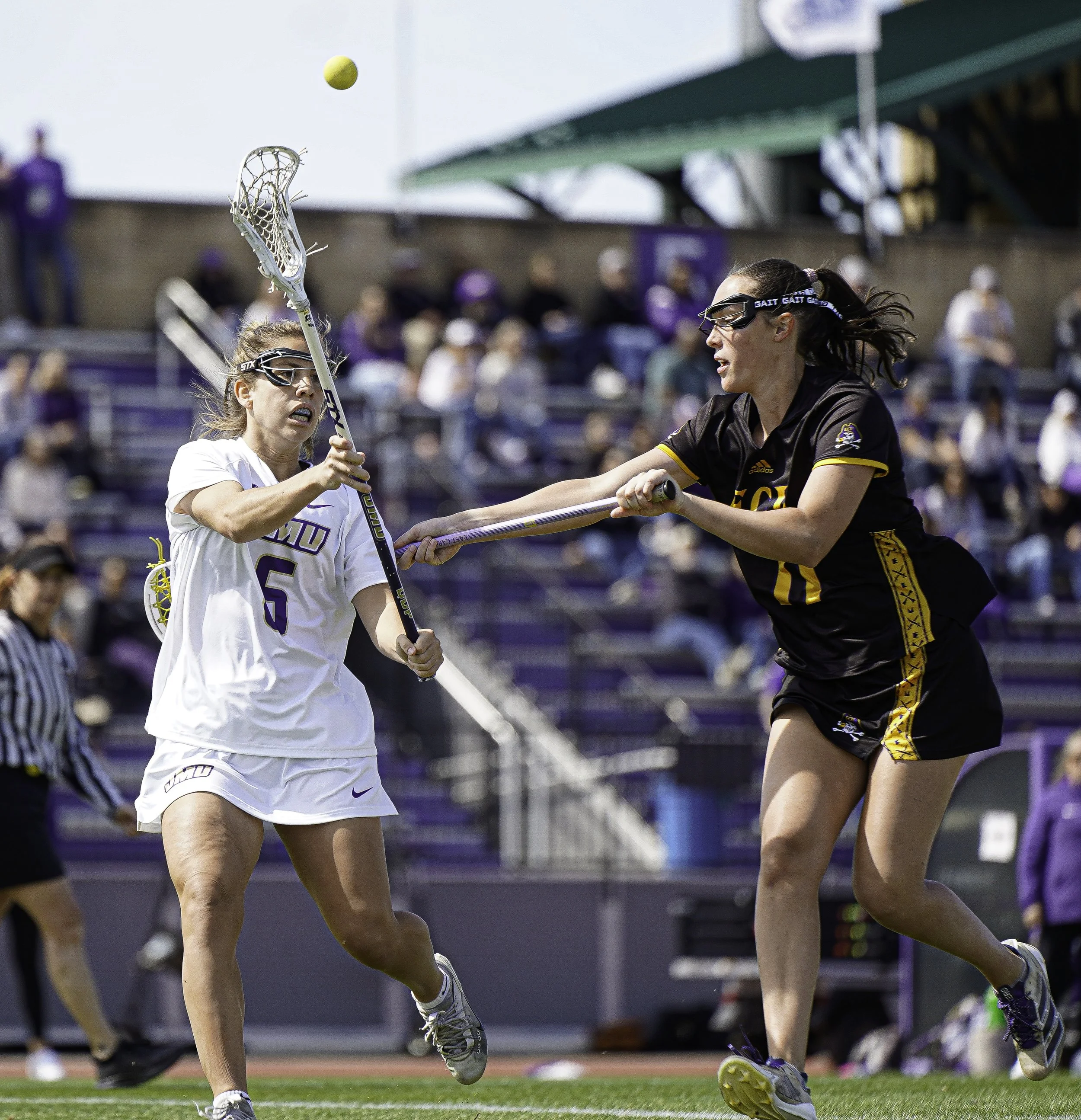 Zmd Flicks -3487.jpg