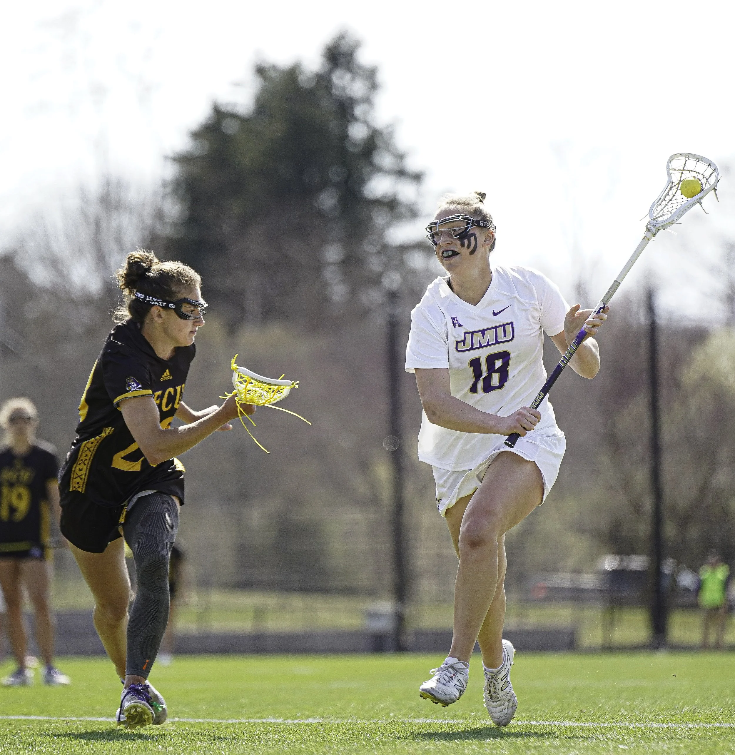 Zmd Flicks -3469.jpg