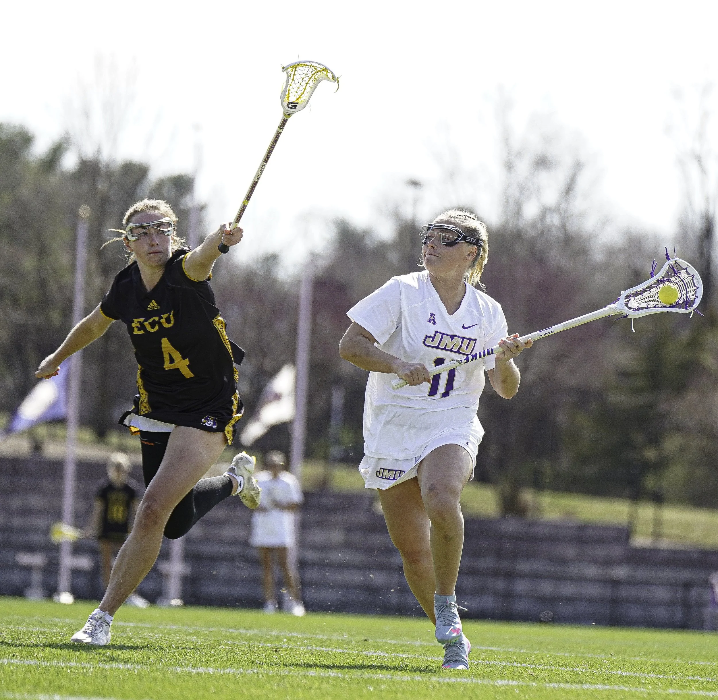 Zmd Flicks -3464.jpg