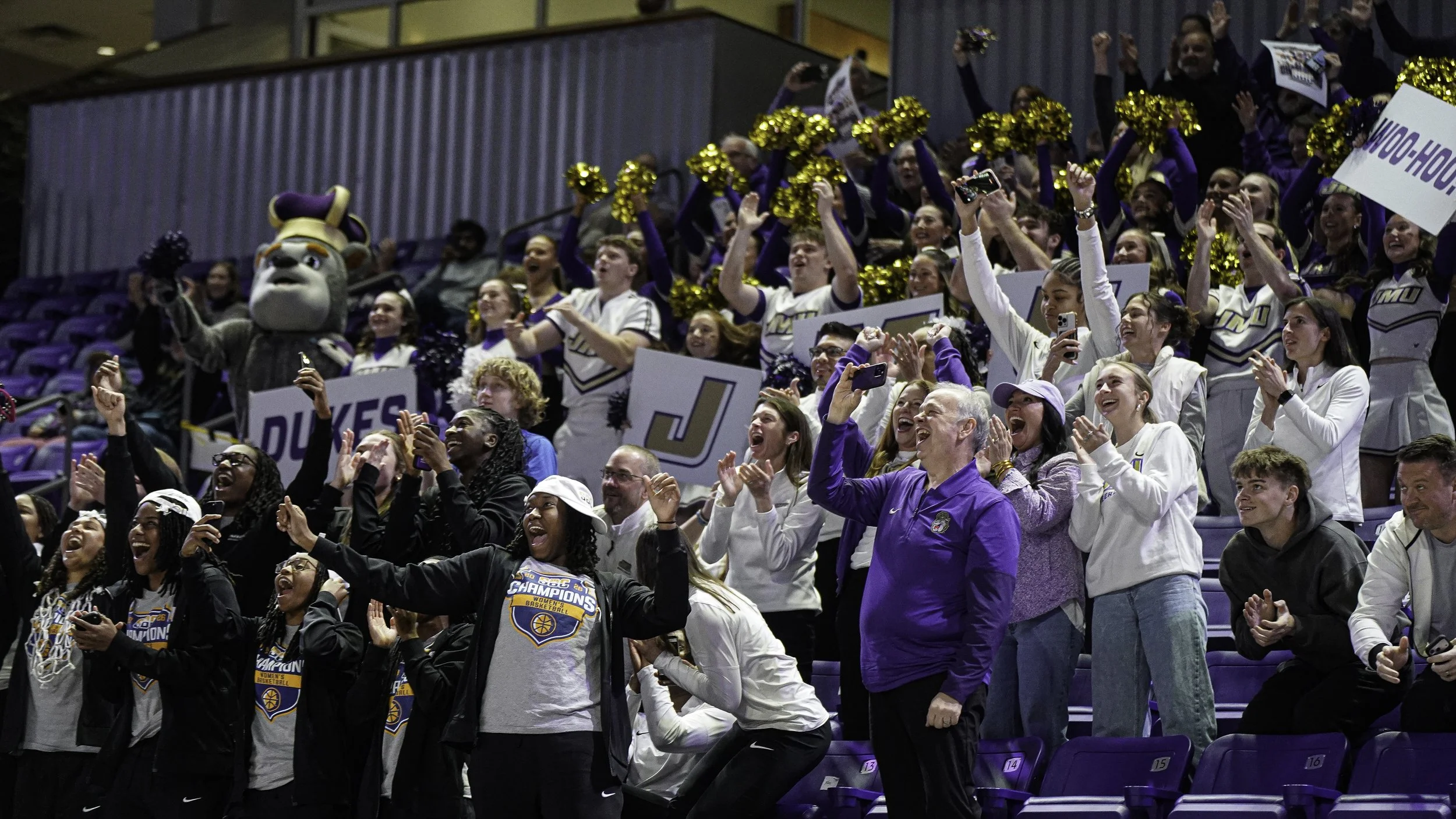 Zmd Flicks -3820.jpg