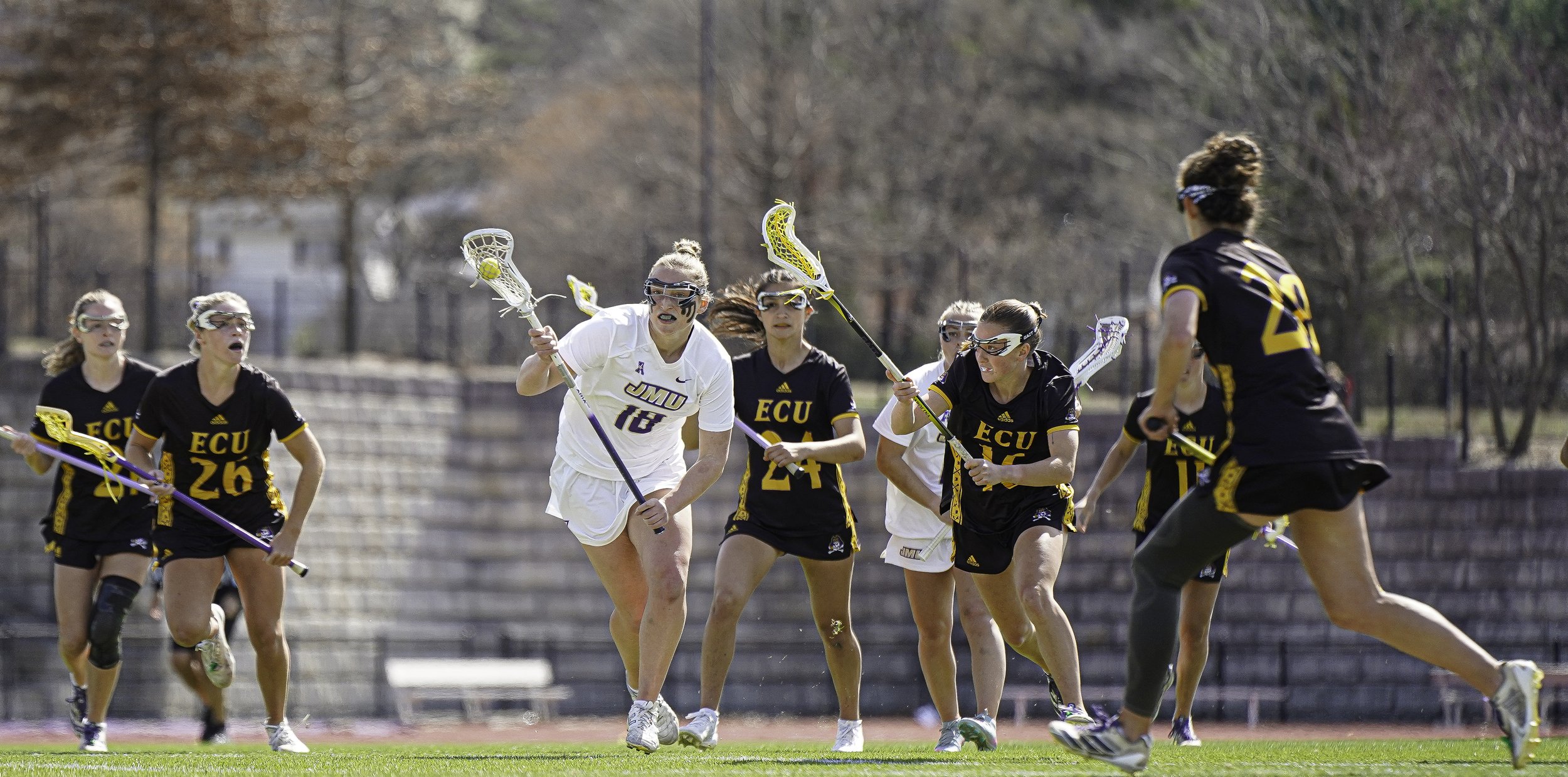 Zmd Flicks -3471.jpg