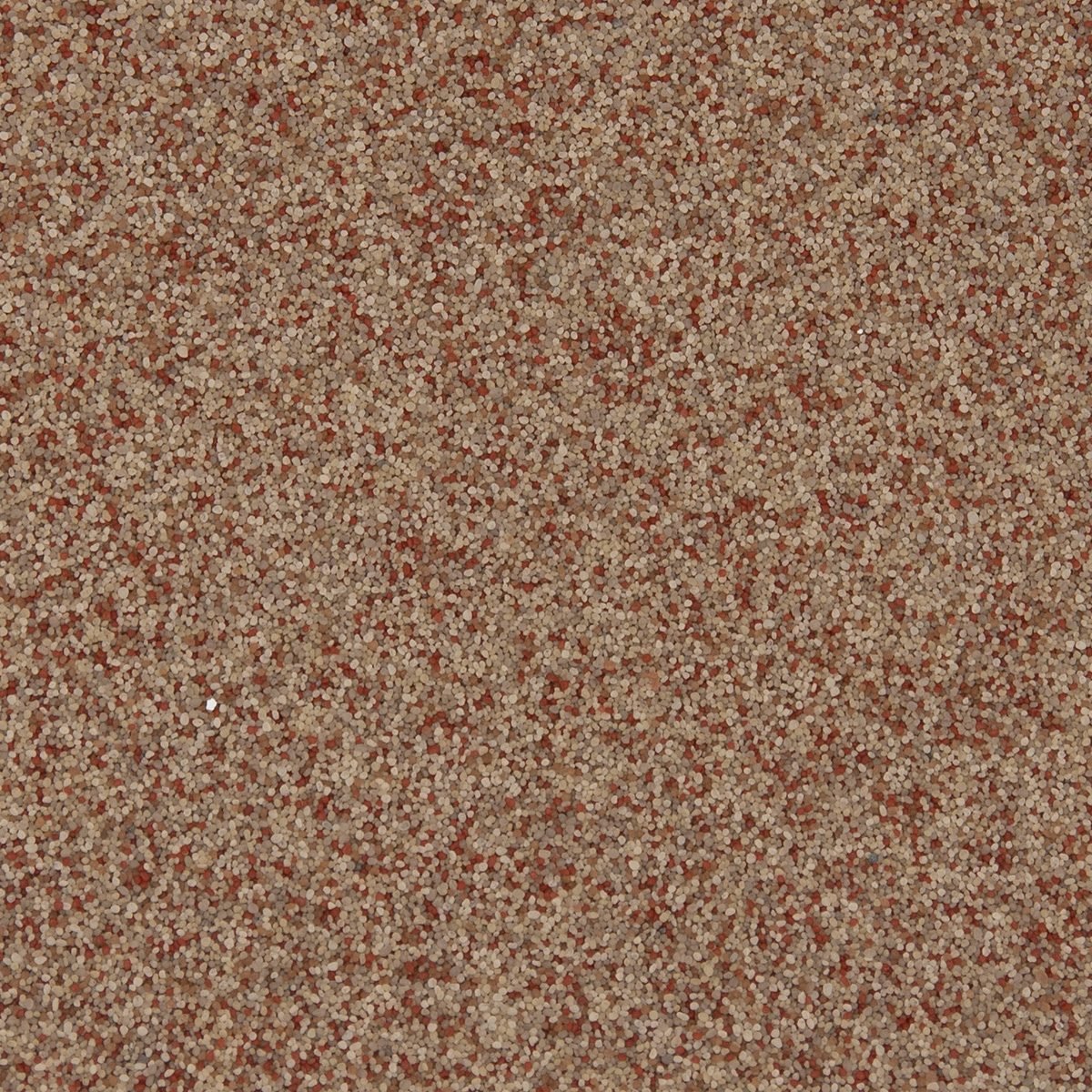 Cinnamon