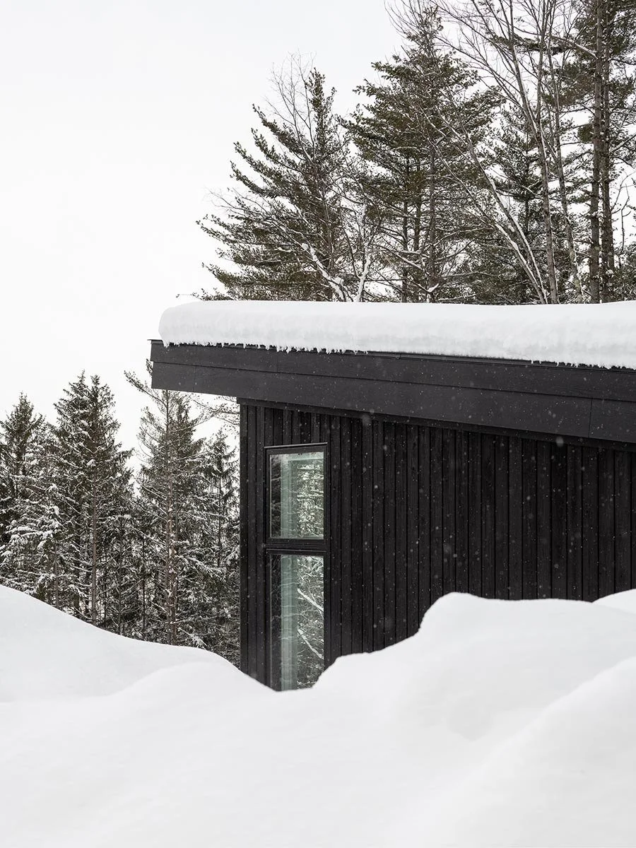 An image of Eloise Lane.