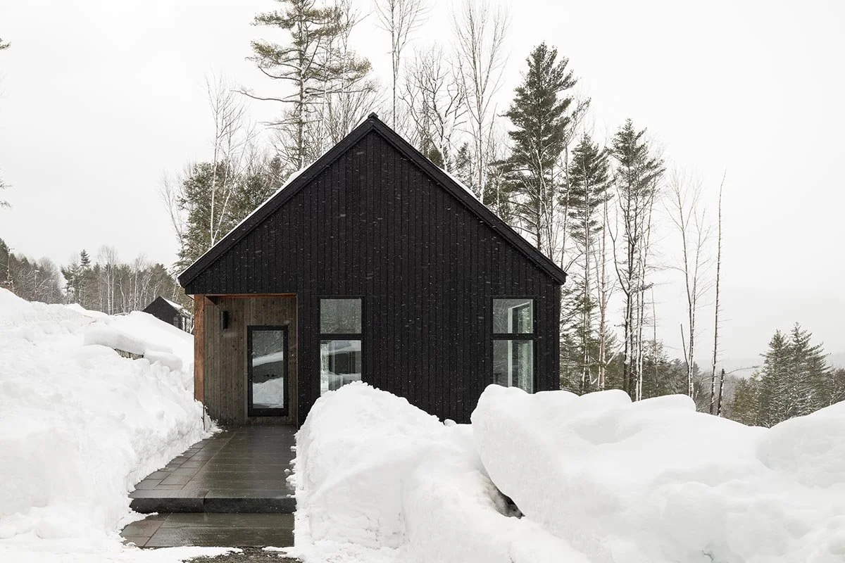 An image of Eloise Lane.