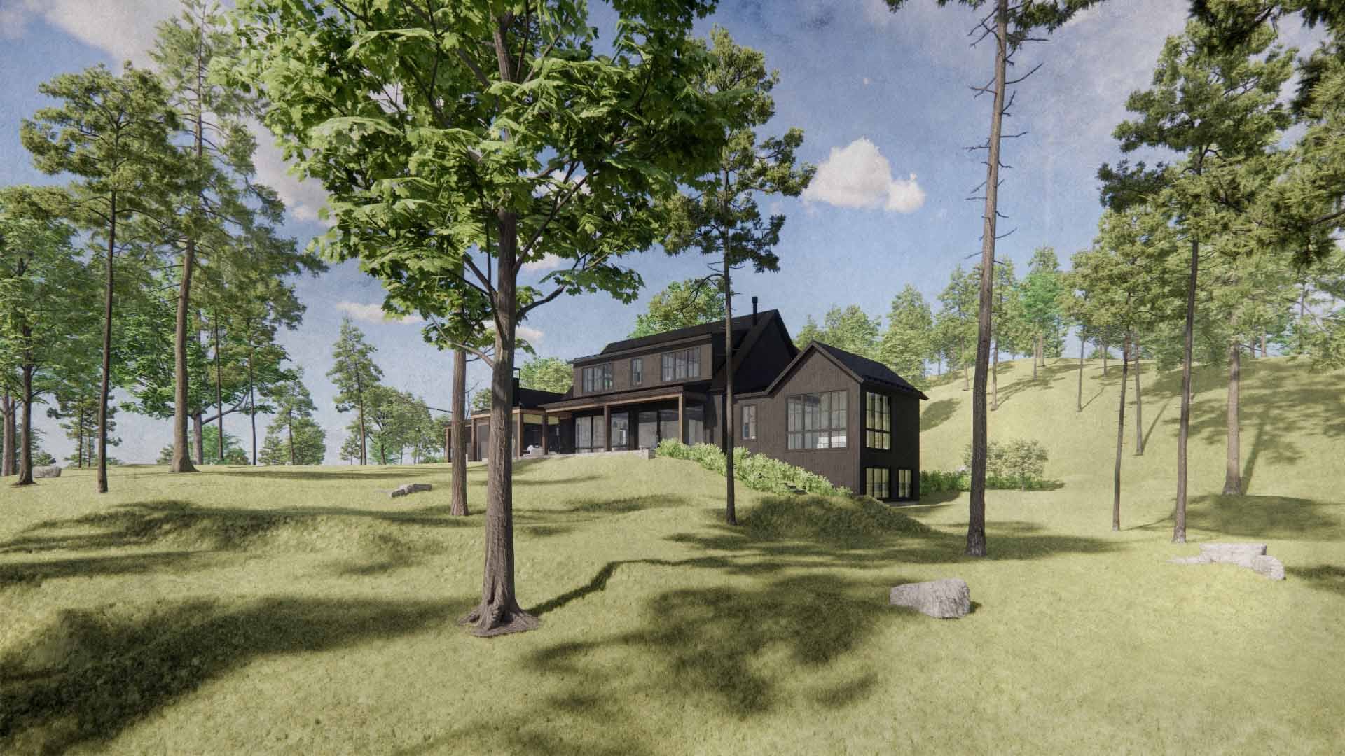 An image of Moonlight.