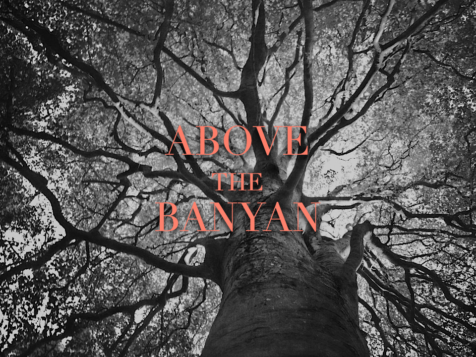 Jo, a 17-year-old island girl and aspiring artist, is desperate to escape her suffocating home life for art school in San Francisco, but her path is already tangled by an unraveling father and growing feelings for her best friend Lala. Everything col