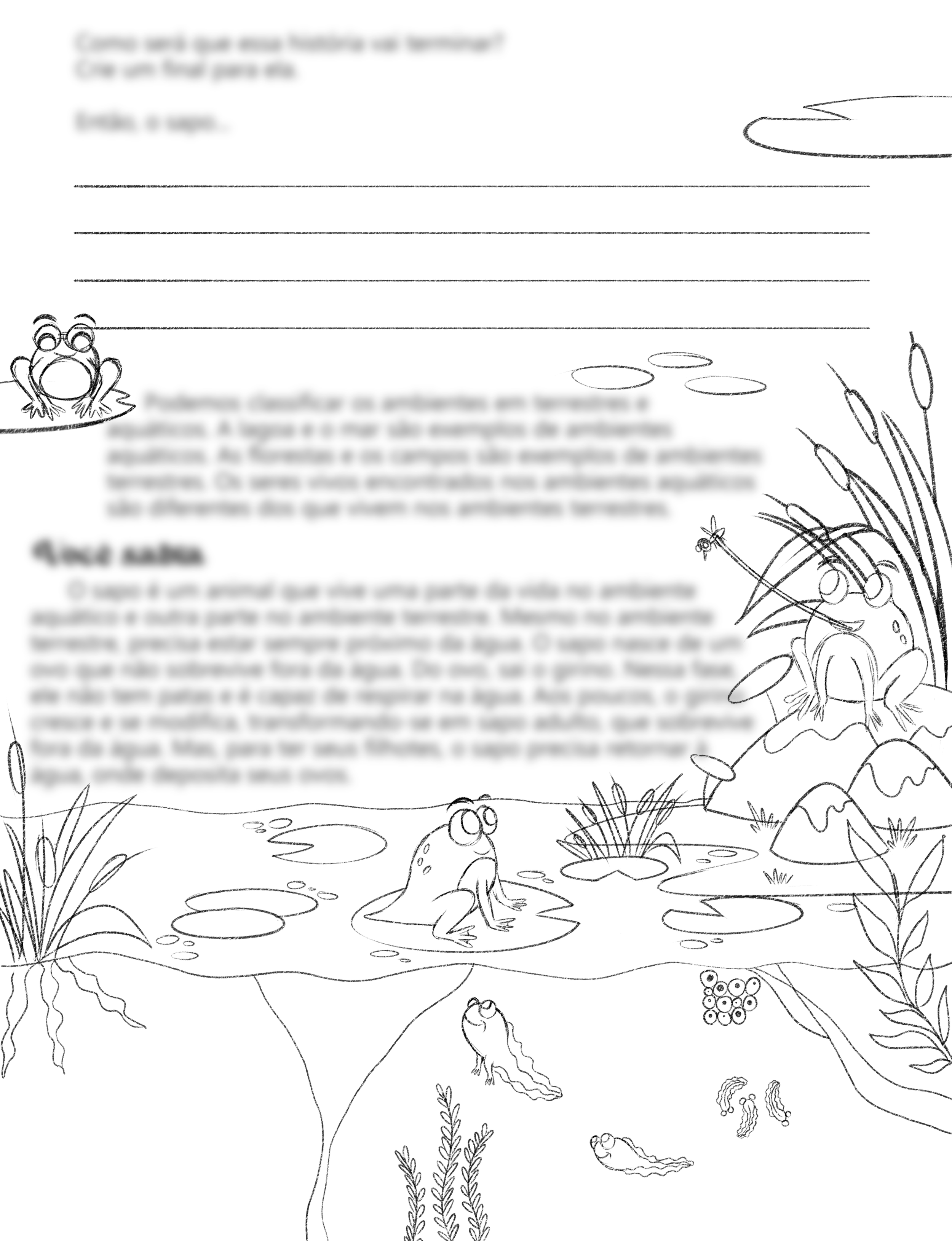 01 - Página unica - Ciclo Sapo.png