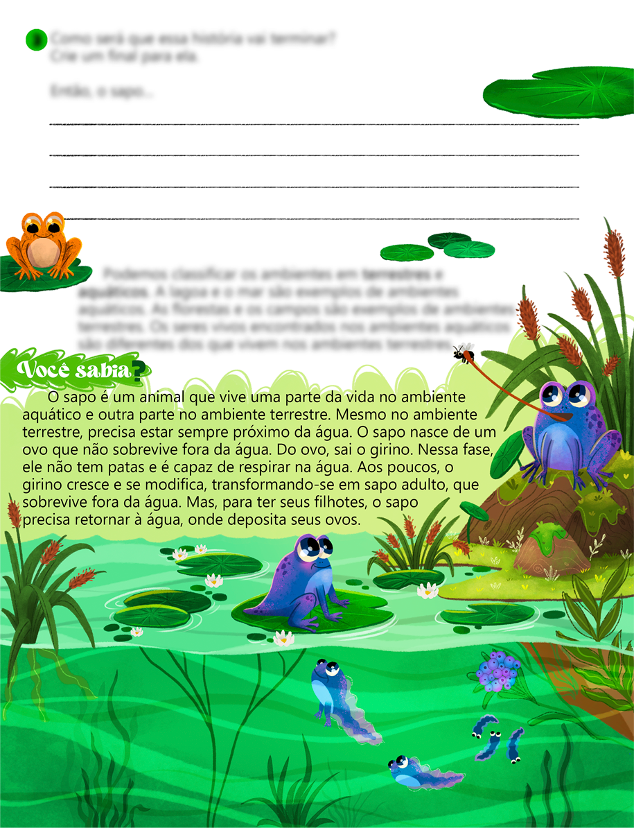 01 - Página unica - Ciclo Sapo 04.png